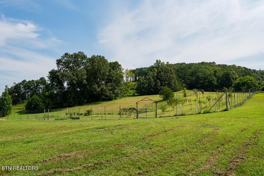 244448_41 - 1518 Cummingsville And Sparkman Rd, Doyle, TN 38559
