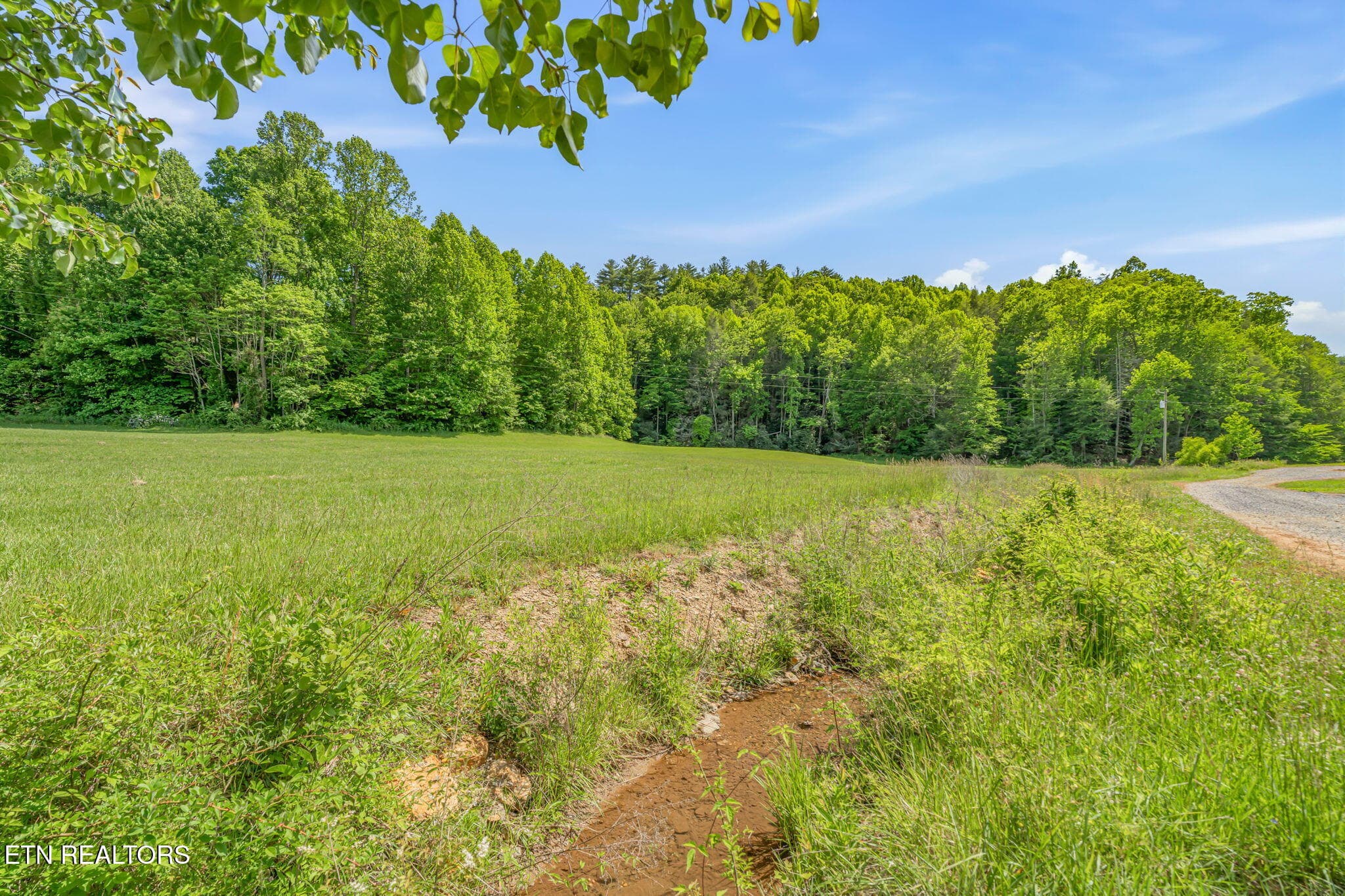 4-web-or-mls-2380 Rafter Road-48 - 2380 Rafter Rd, Tellico Plains, TN 37385
