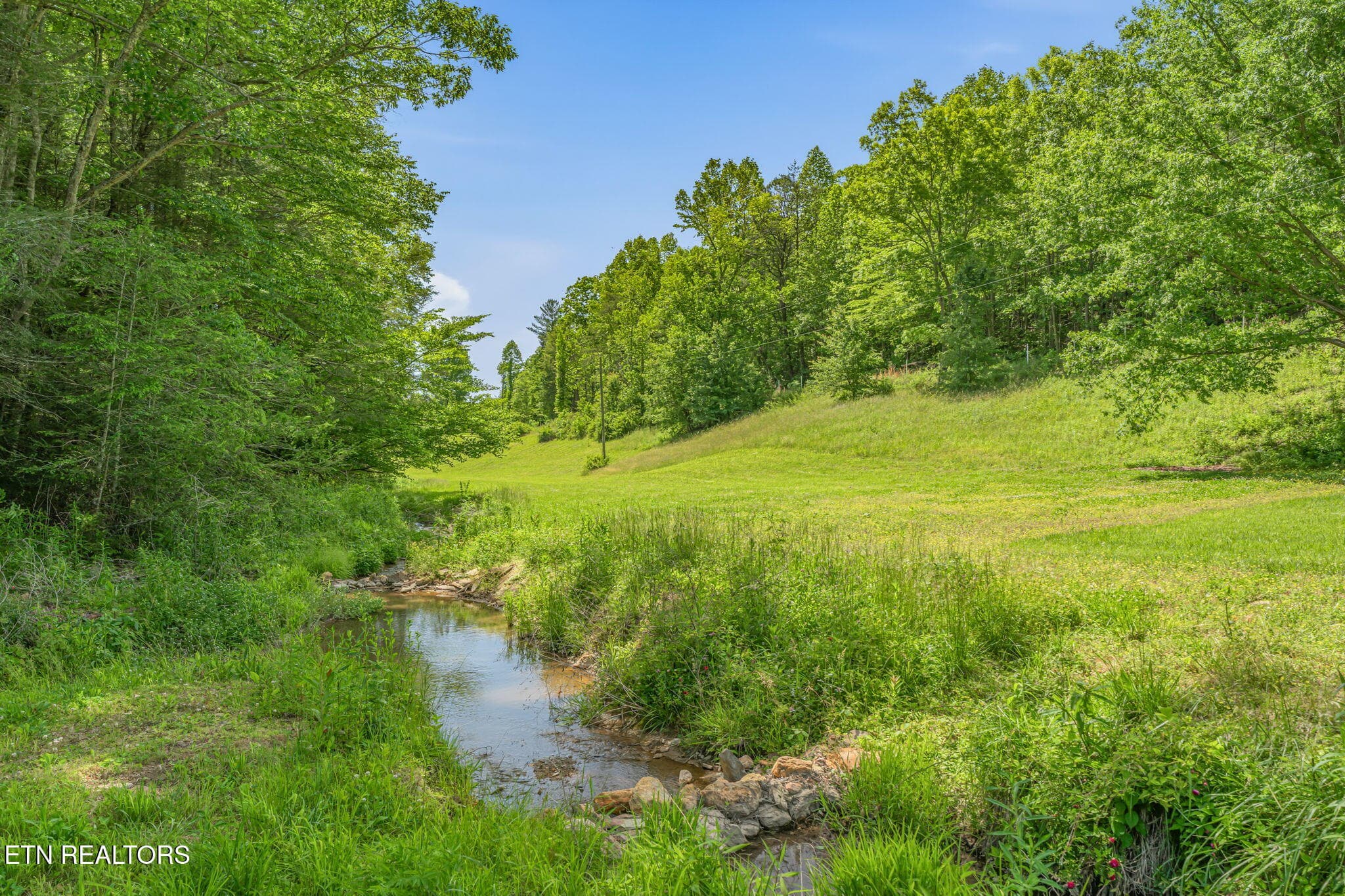 50-web-or-mls-2380 Rafter Road-43 - 2380 Rafter Rd, Tellico Plains, TN 37385