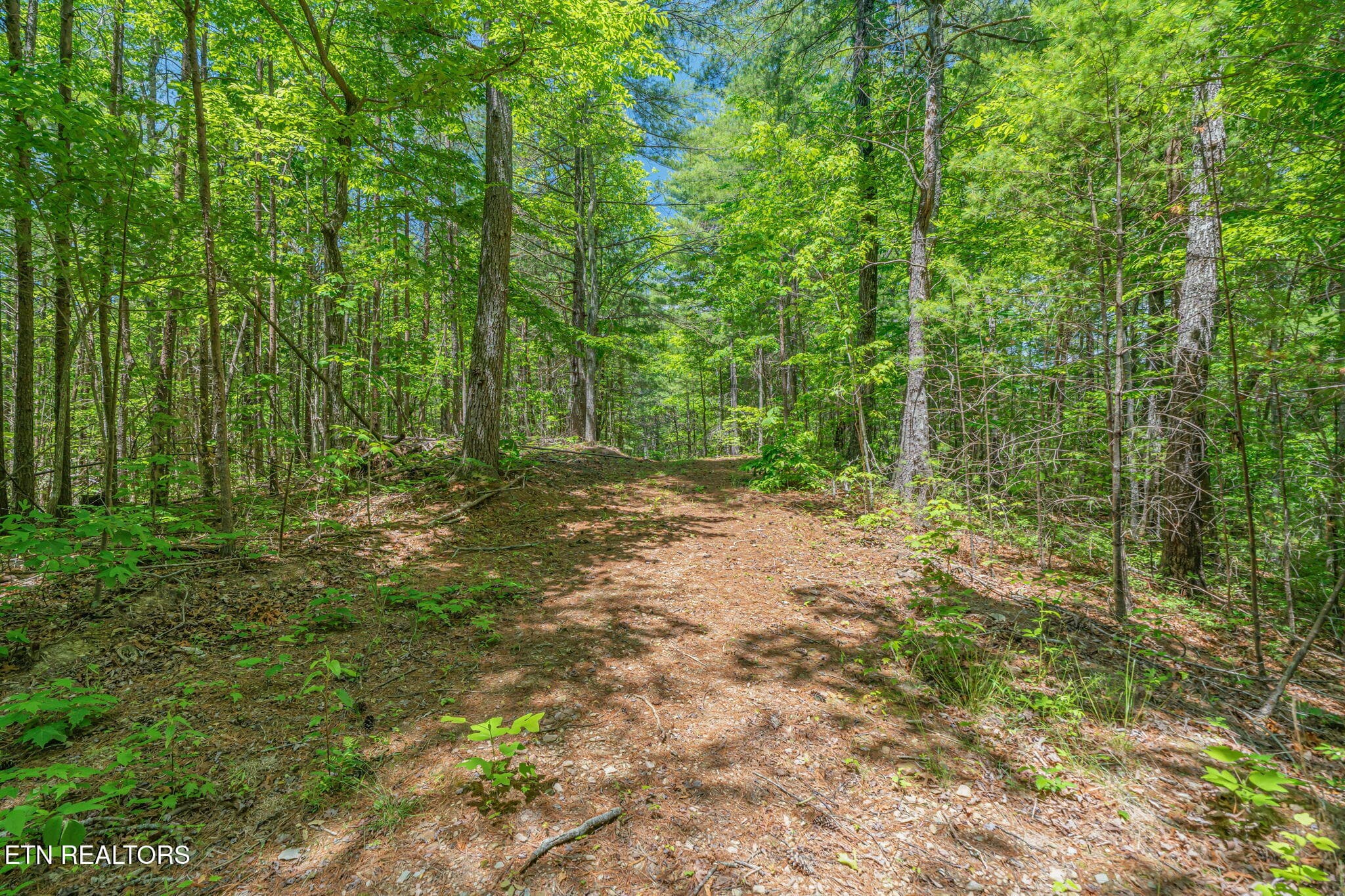 69-web-or-mls-2380 Rafter Road - 2380 Rafter Rd, Tellico Plains, TN 37385