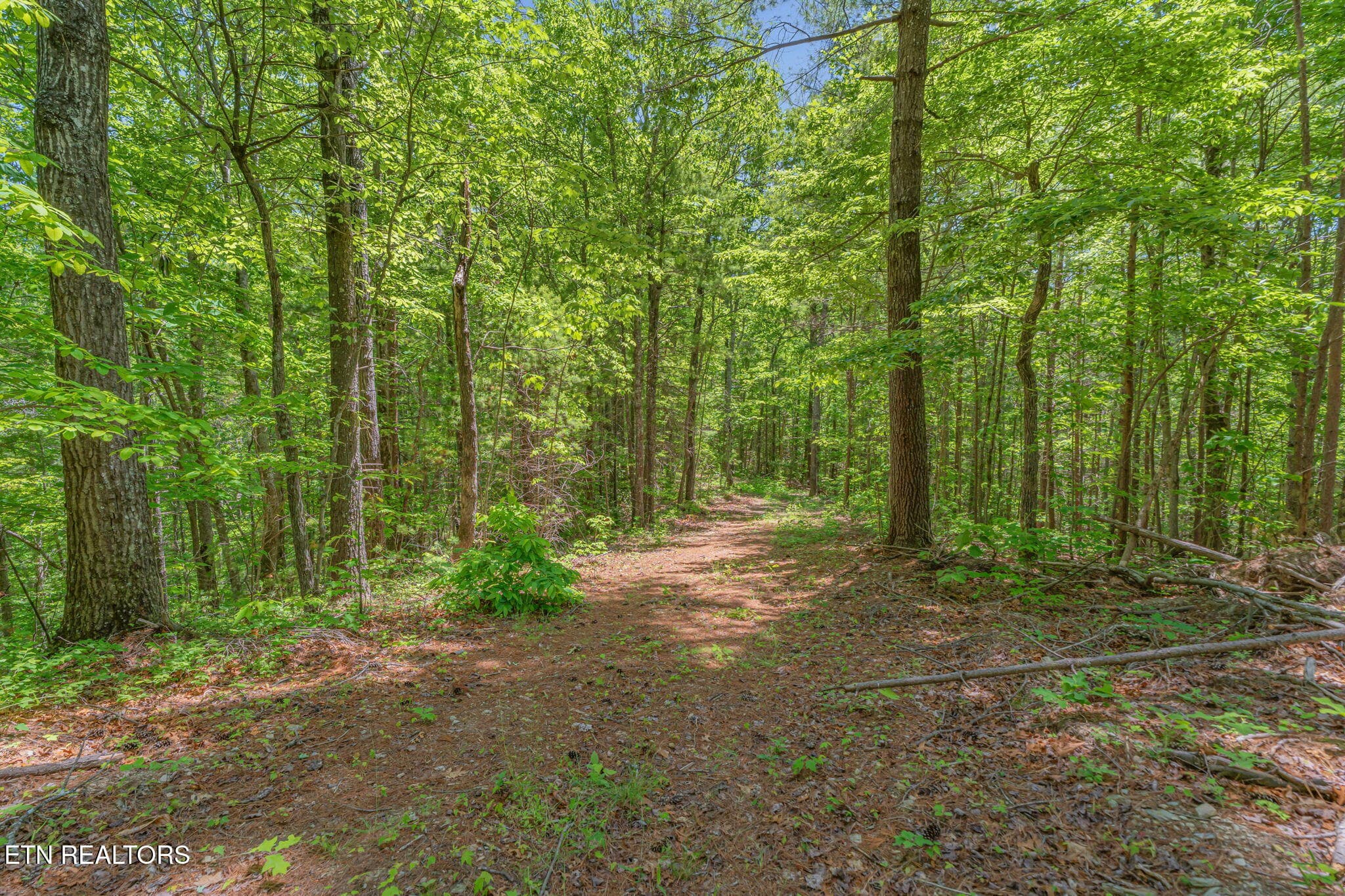 74-web-or-mls-2380 Rafter Road-4 - 2380 Rafter Rd, Tellico Plains, TN 37385