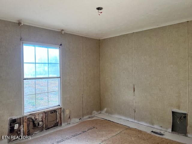 unnamed (25) - 123 Grey Dove Lane, Powell, TN 37849