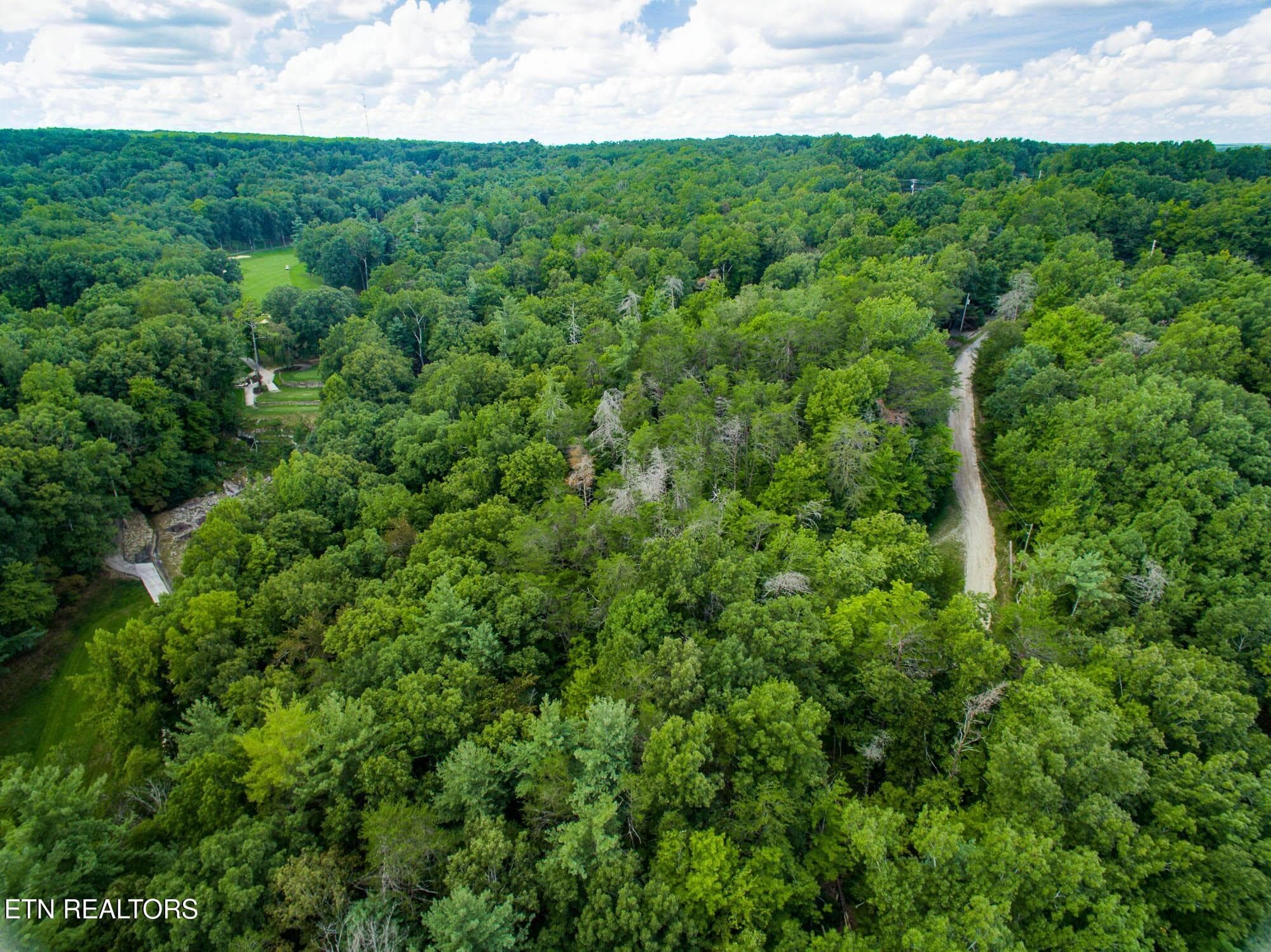 CUMBERLAND PLATEAU - 22 Lakeridge Terrace, Fairfield Glade, TN 38558