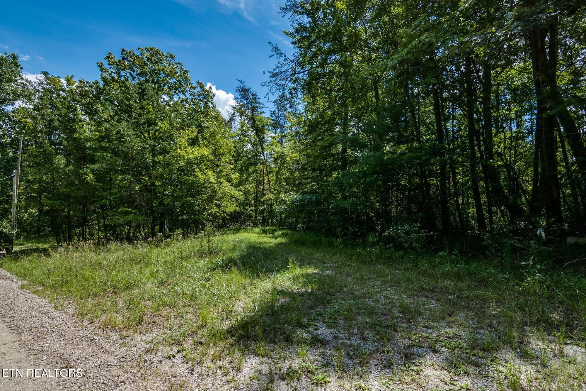 FRONT OF LOT - 22 Lakeridge Terrace, Fairfield Glade, TN 38558