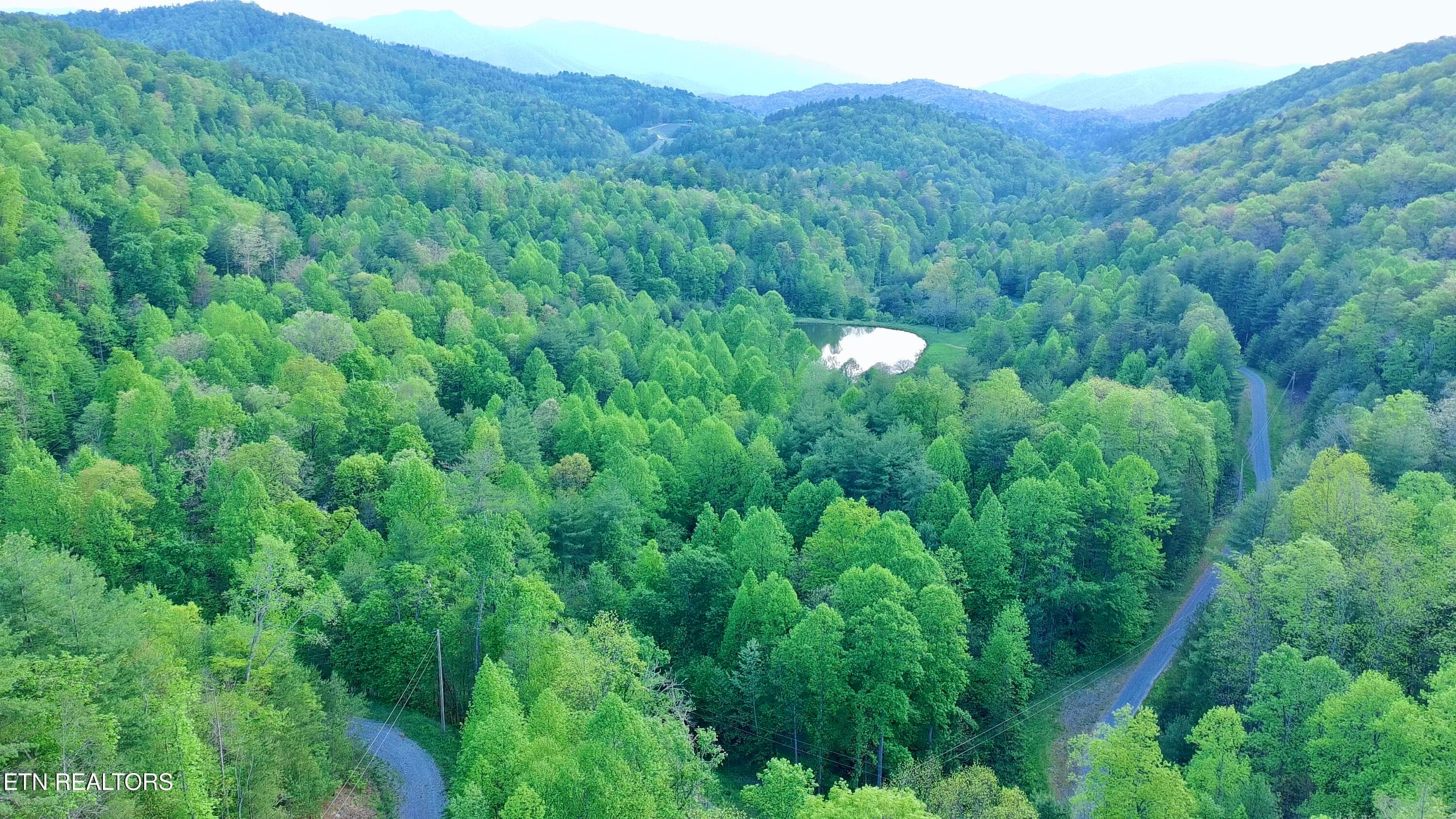Aerial View of Acreage - Lot 41 Black Maple Way, Del Rio, TN 37727, Del Rio