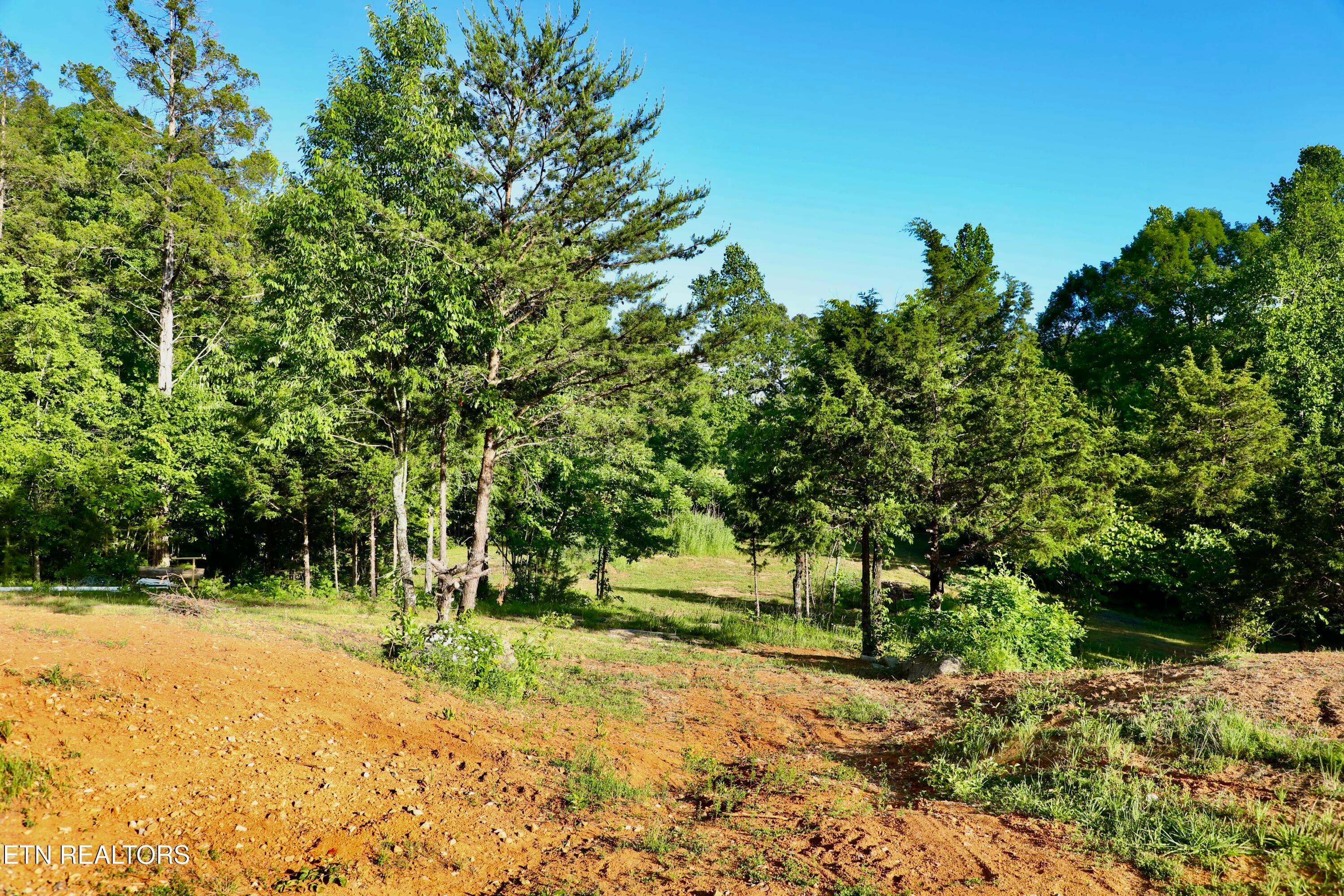 0Q1A9151 - 7142 Tomotley Rd, Maryville, TN 37801