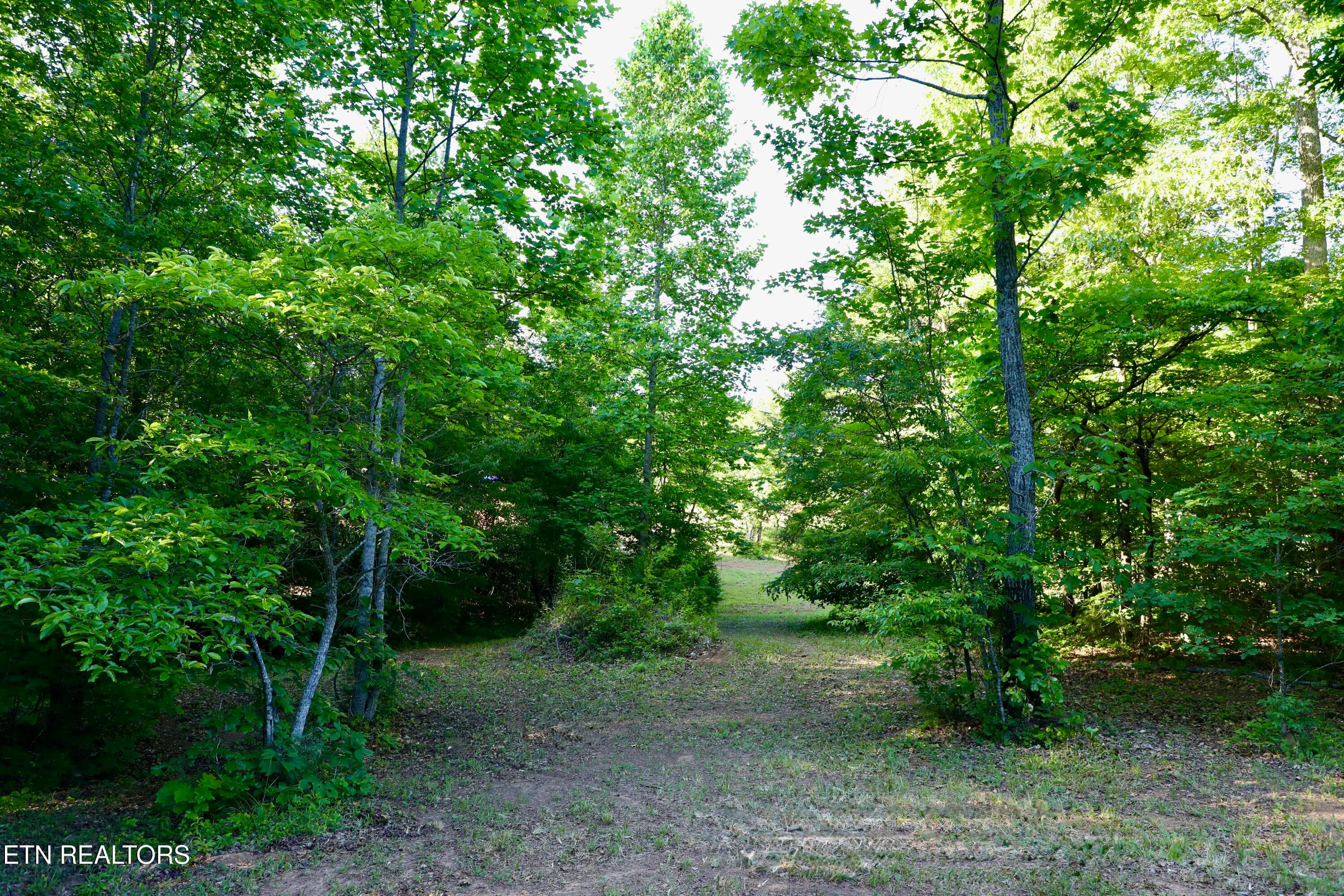 0Q1A9147 2 - 7142 Tomotley Rd, Maryville, TN 37801