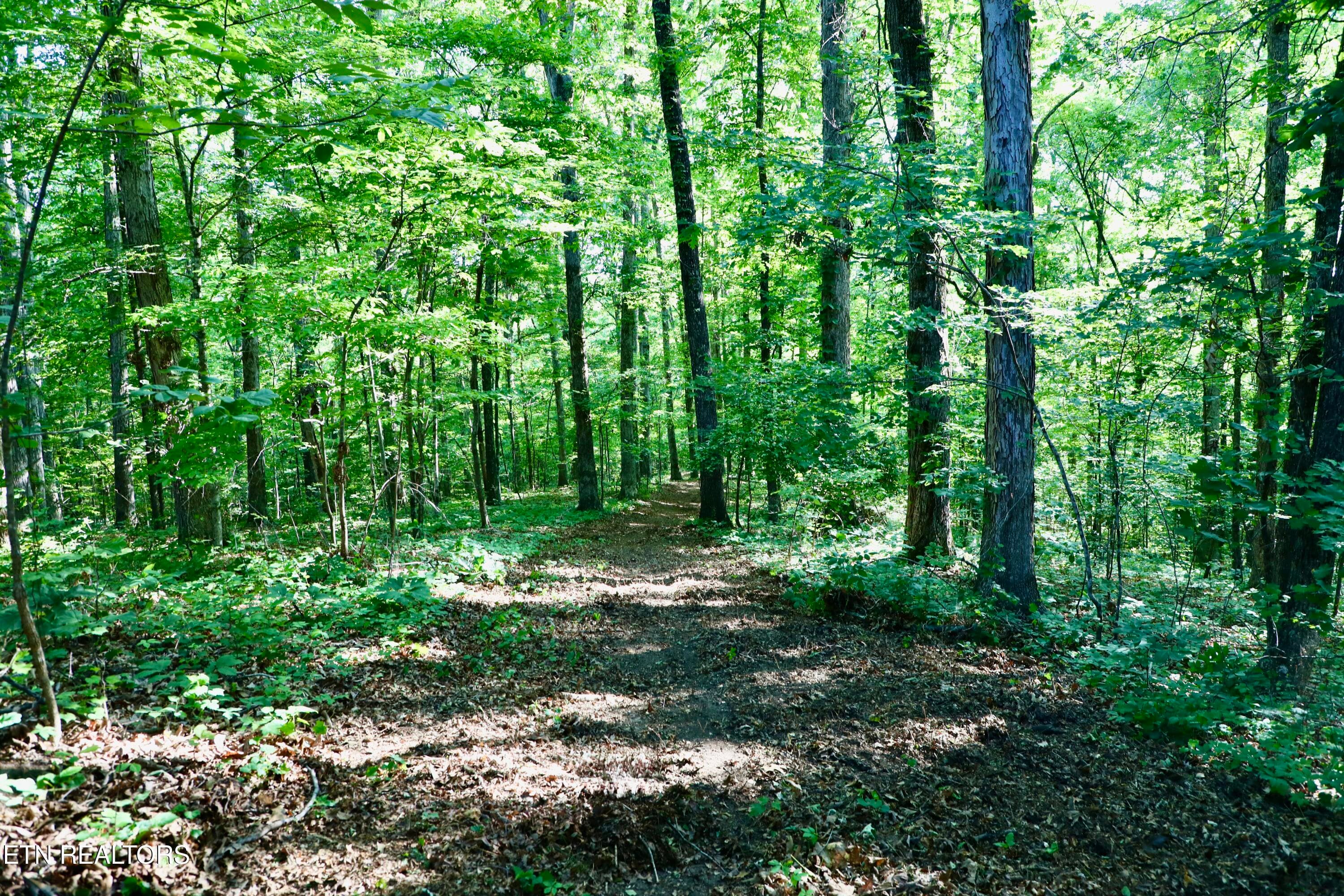 0Q1A9126 - 7142 Tomotley Rd, Maryville, TN 37801