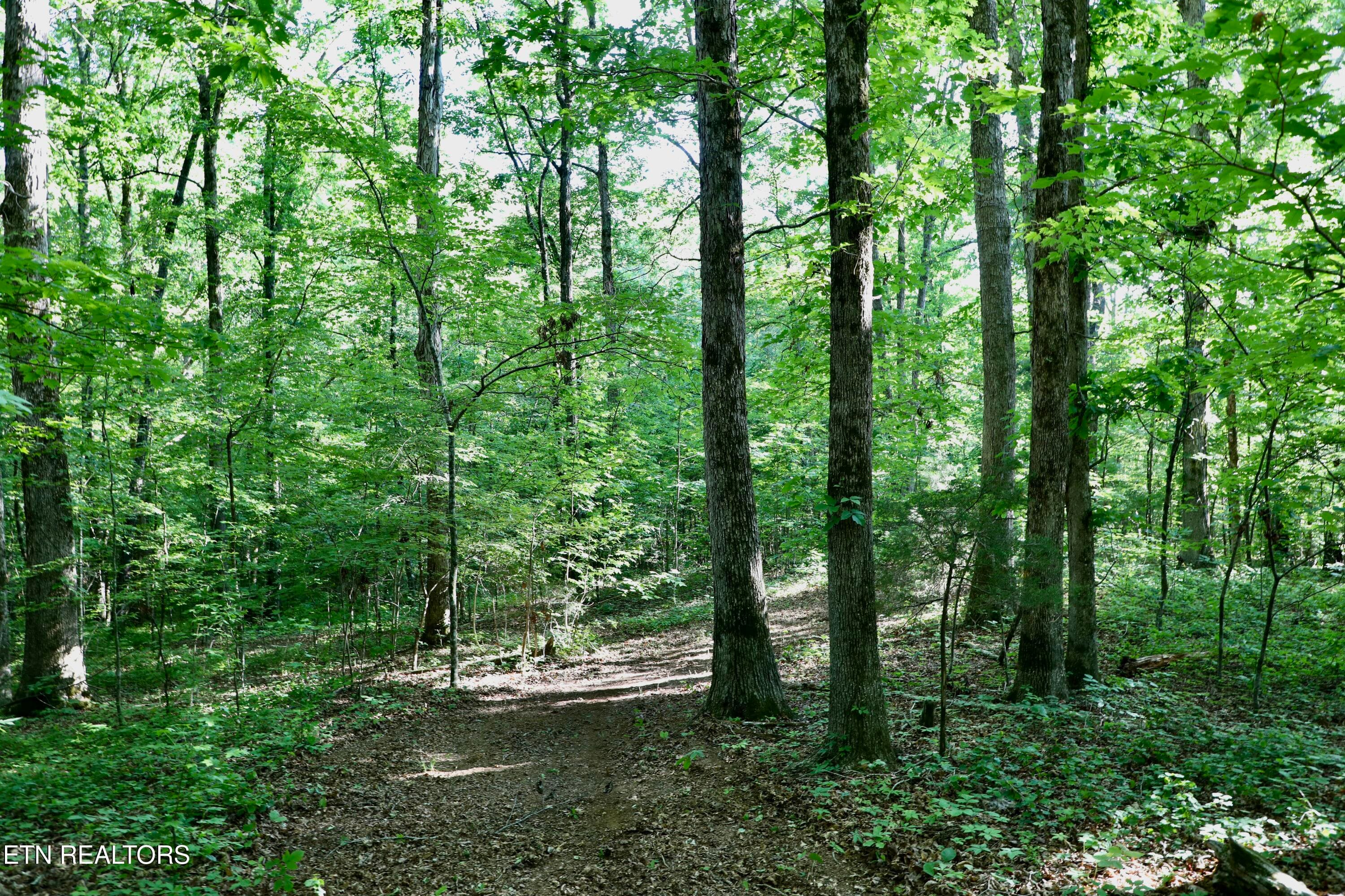 0Q1A9134 - 7142 Tomotley Rd, Maryville, TN 37801