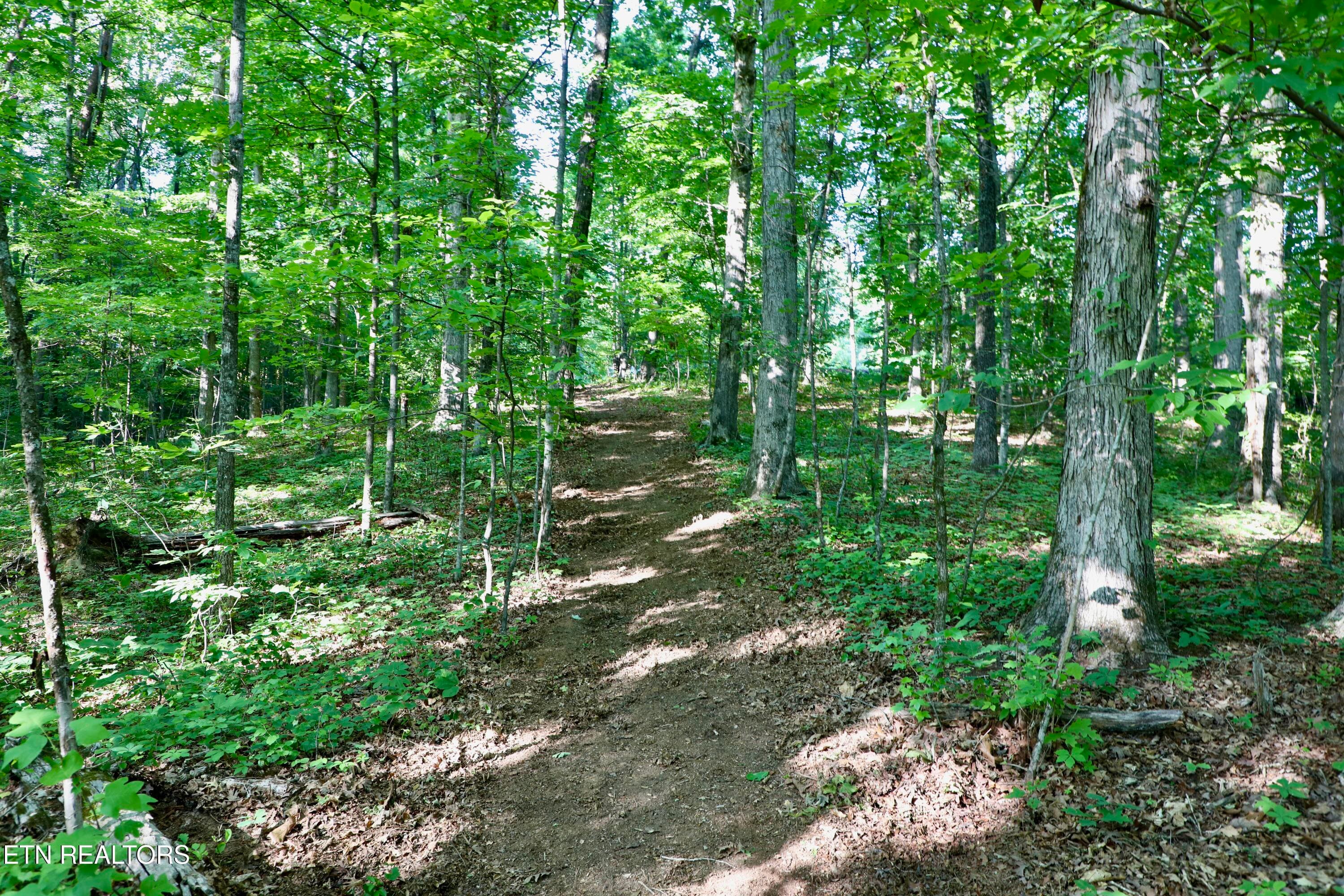 0Q1A9139 - 7142 Tomotley Rd, Maryville, TN 37801