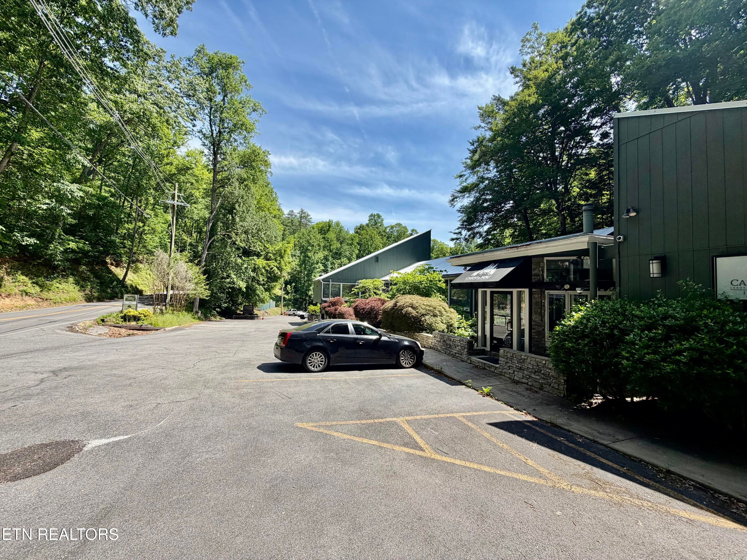 IMG_3937 - 1435 Wiley Oakley Drive UNIT 172, Gatlinburg, TN 37738, Gatlinburg