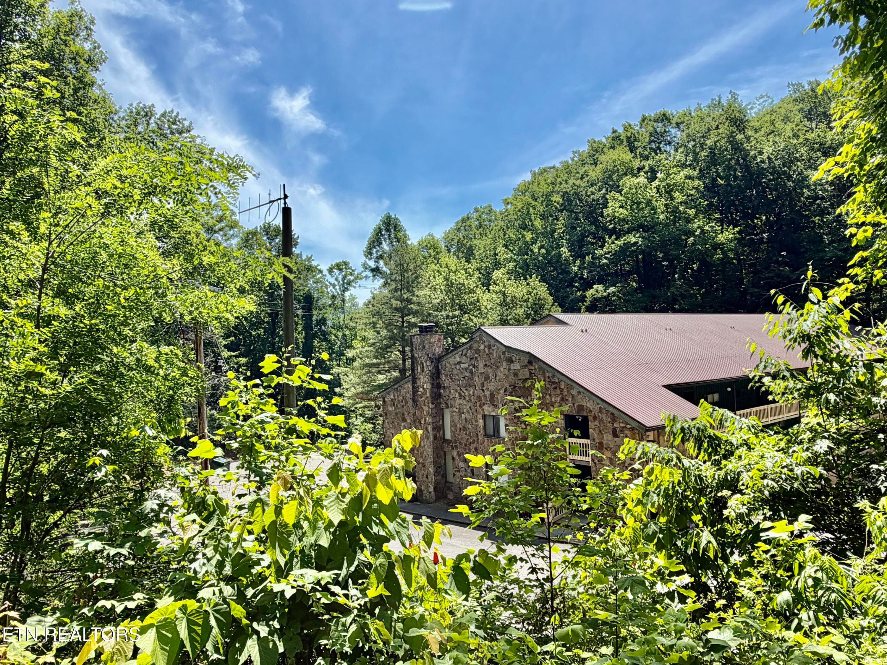 IMG_3942 - 1435 Wiley Oakley Drive UNIT 172, Gatlinburg, TN 37738, Gatlinburg