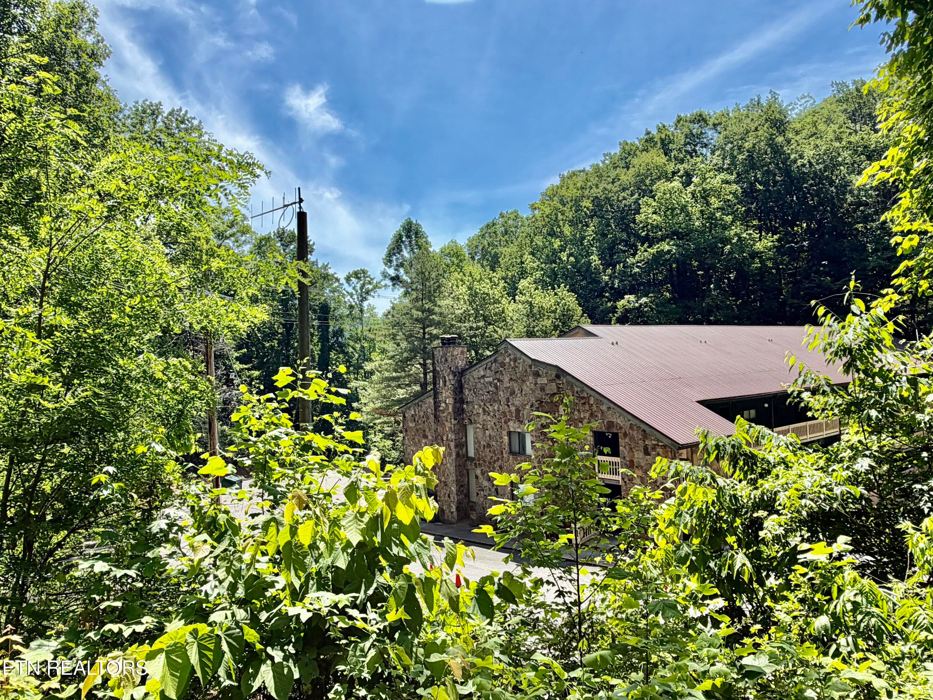 IMG_3943 - 1435 Wiley Oakley Drive UNIT 172, Gatlinburg, TN 37738, Gatlinburg