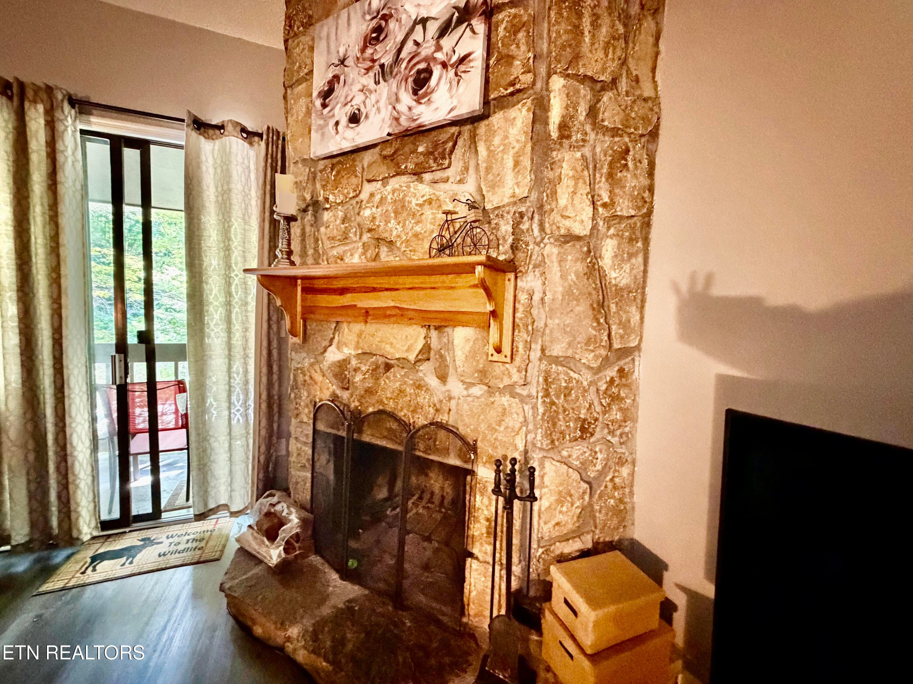 IMG_3896 - 1435 Wiley Oakley Drive UNIT 172, Gatlinburg, TN 37738, Gatlinburg