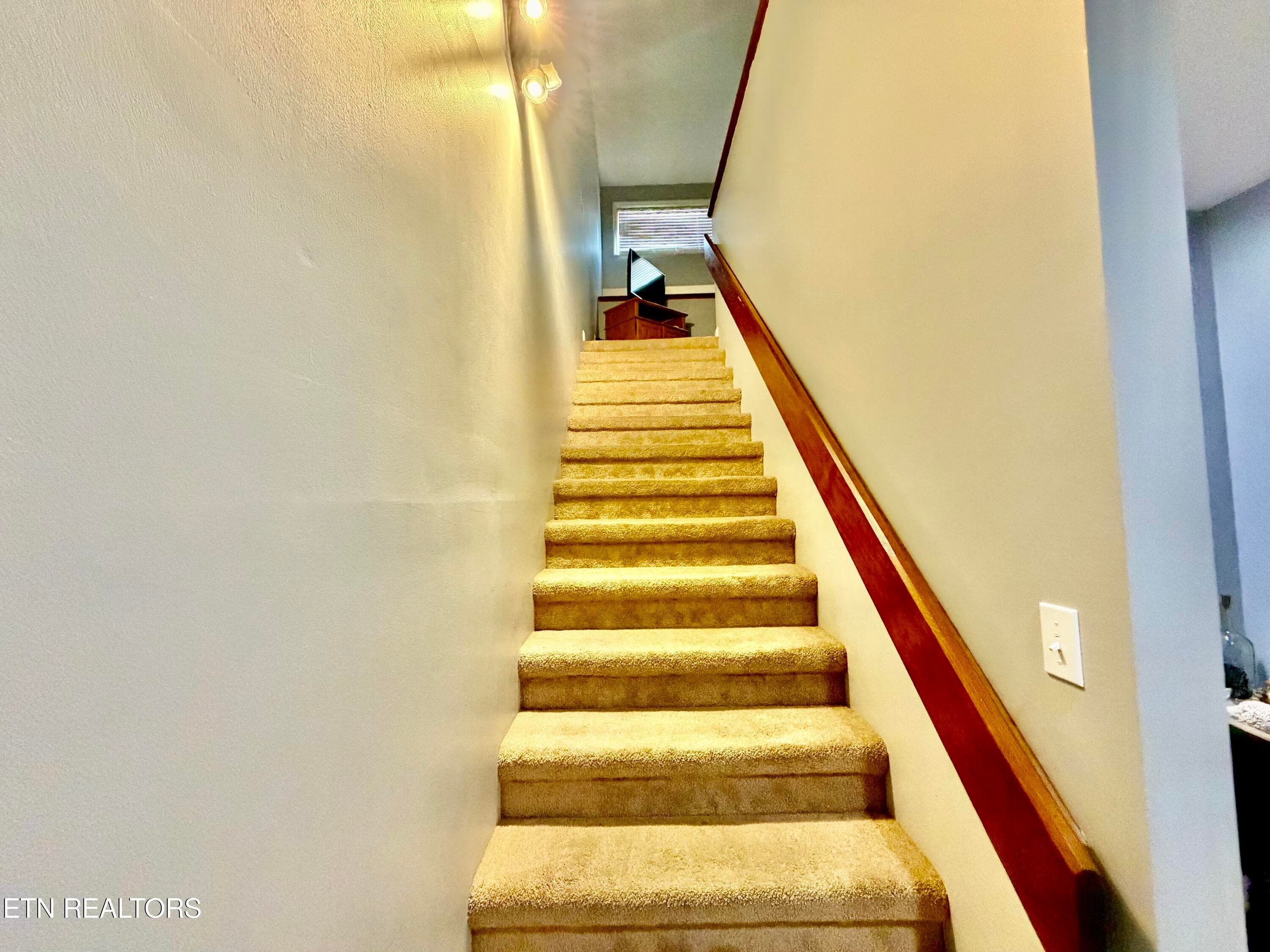 IMG_3911 - 1435 Wiley Oakley Drive UNIT 172, Gatlinburg, TN 37738, Gatlinburg