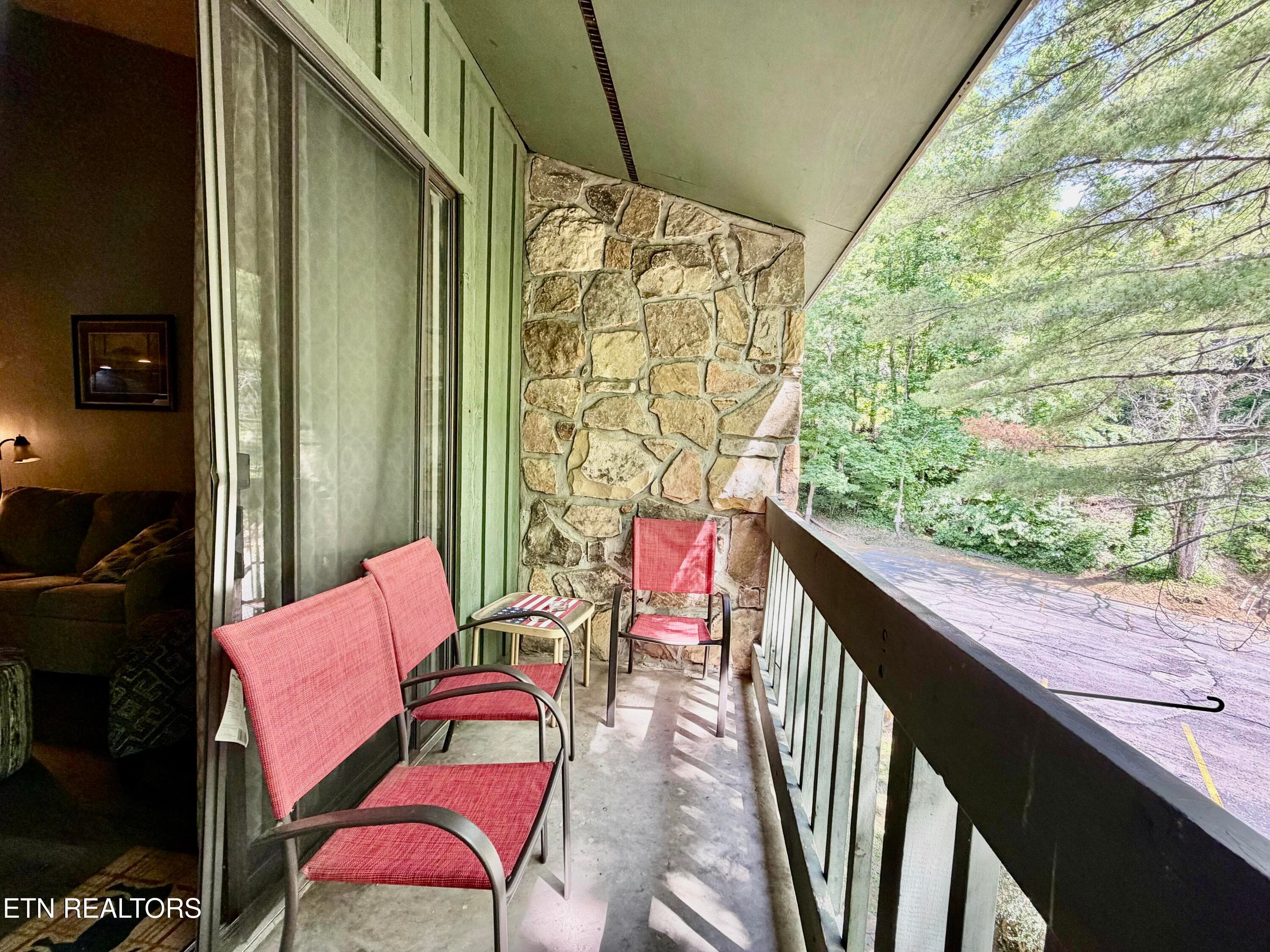 IMG_3904 - 1435 Wiley Oakley Drive UNIT 172, Gatlinburg, TN 37738, Gatlinburg