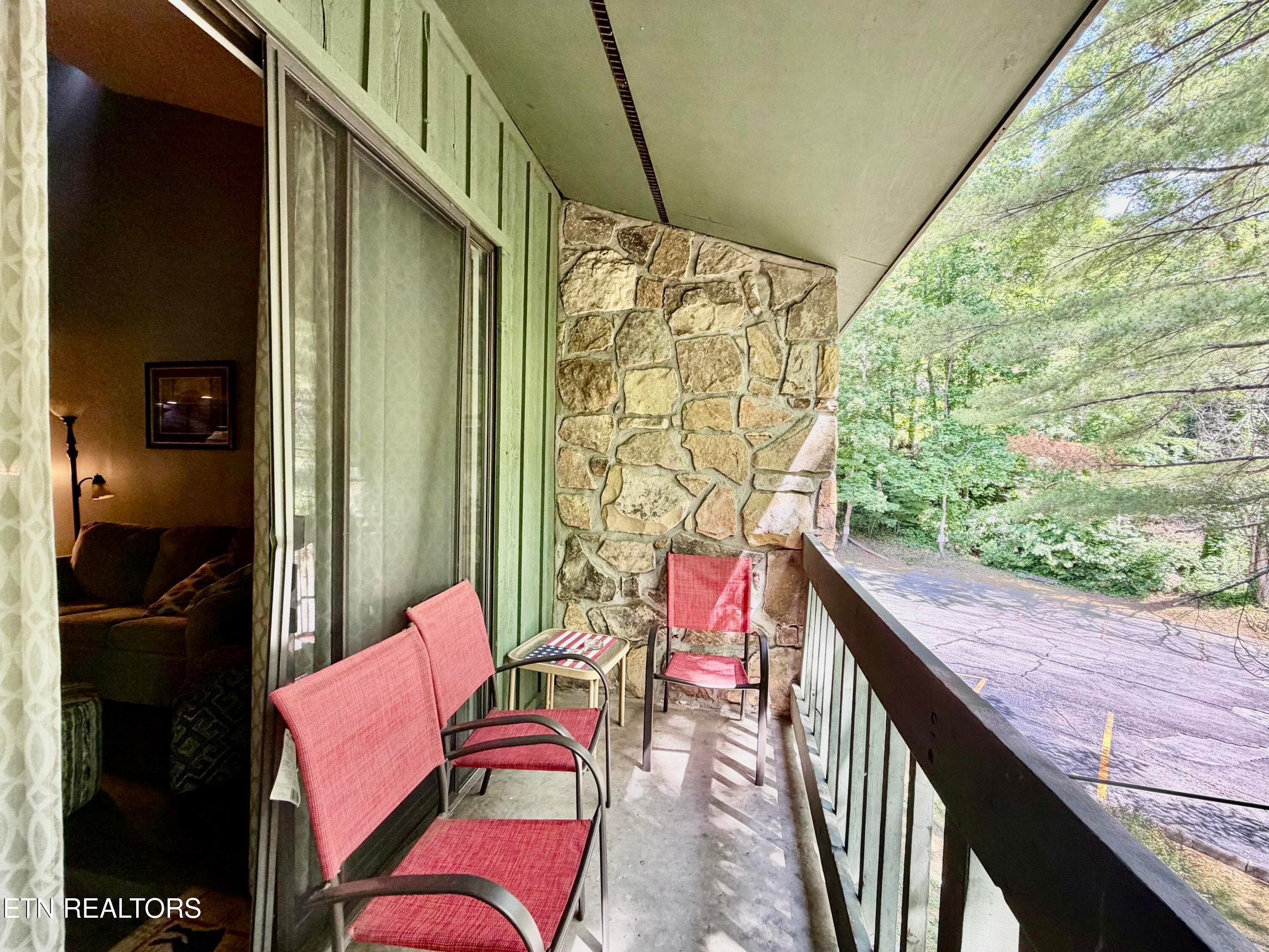 IMG_3903 - 1435 Wiley Oakley Drive UNIT 172, Gatlinburg, TN 37738, Gatlinburg