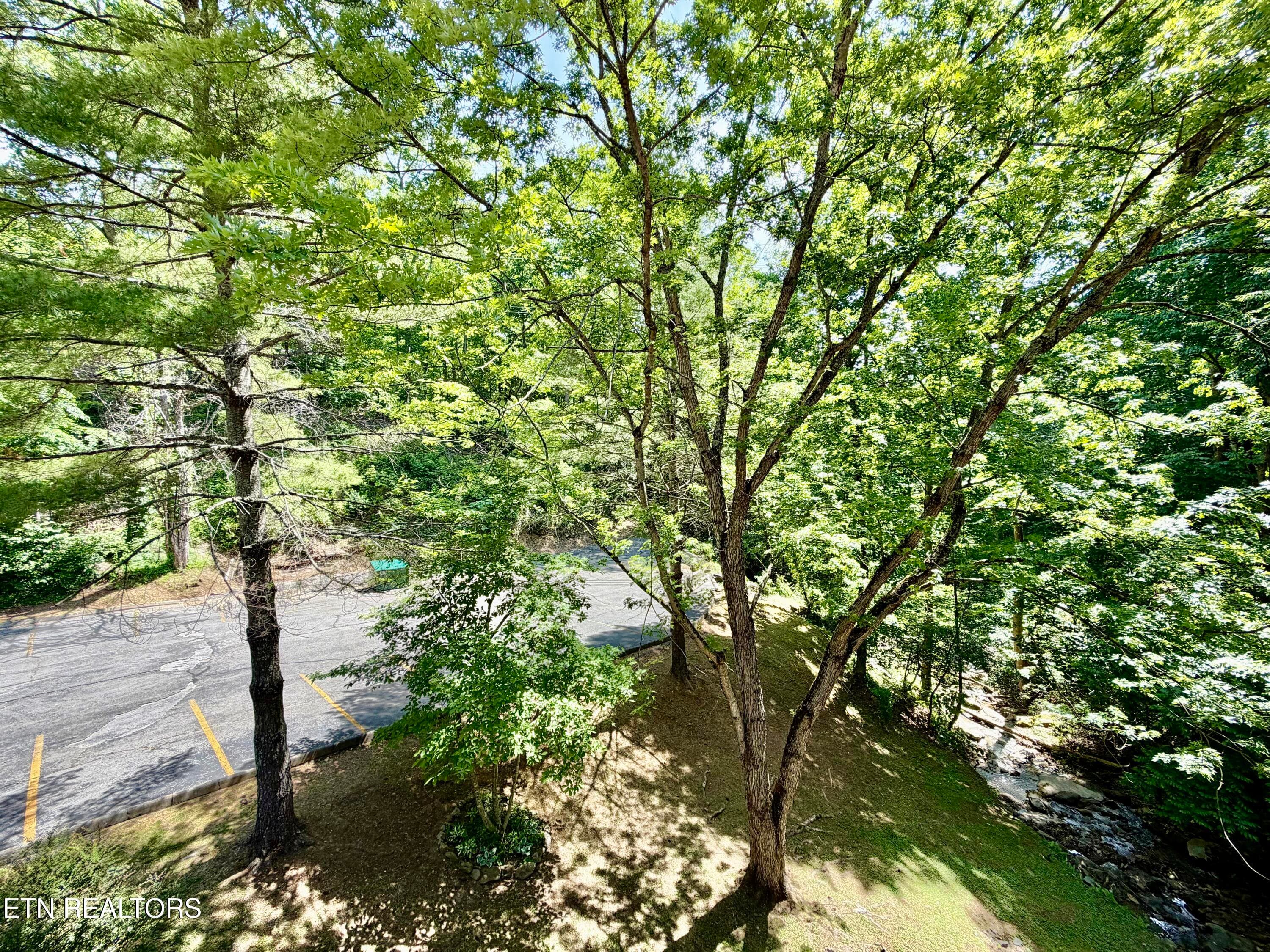 IMG_3902 - 1435 Wiley Oakley Drive UNIT 172, Gatlinburg, TN 37738, Gatlinburg