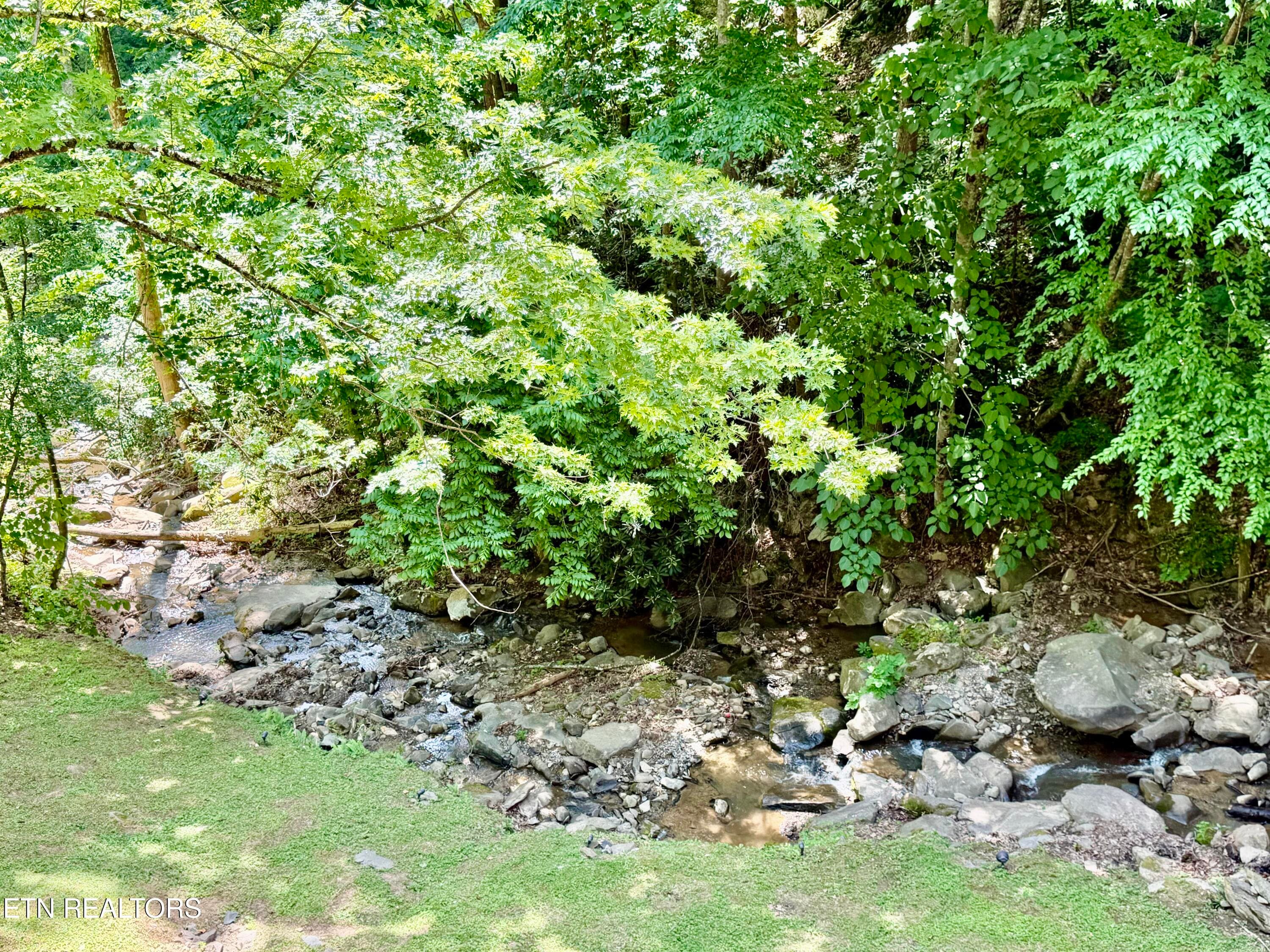 IMG_3899 - 1435 Wiley Oakley Drive UNIT 172, Gatlinburg, TN 37738, Gatlinburg
