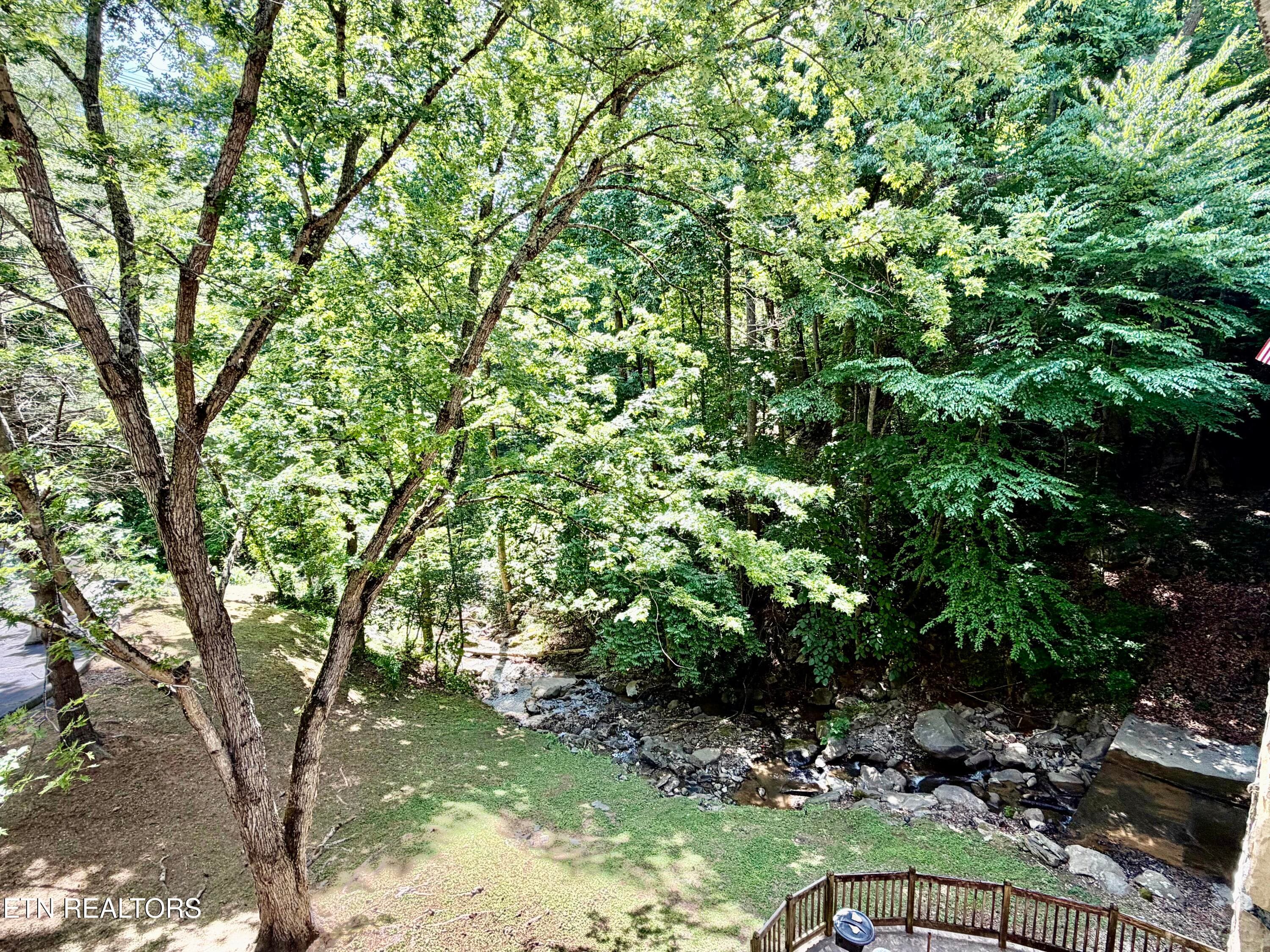 IMG_3898 - 1435 Wiley Oakley Drive UNIT 172, Gatlinburg, TN 37738, Gatlinburg