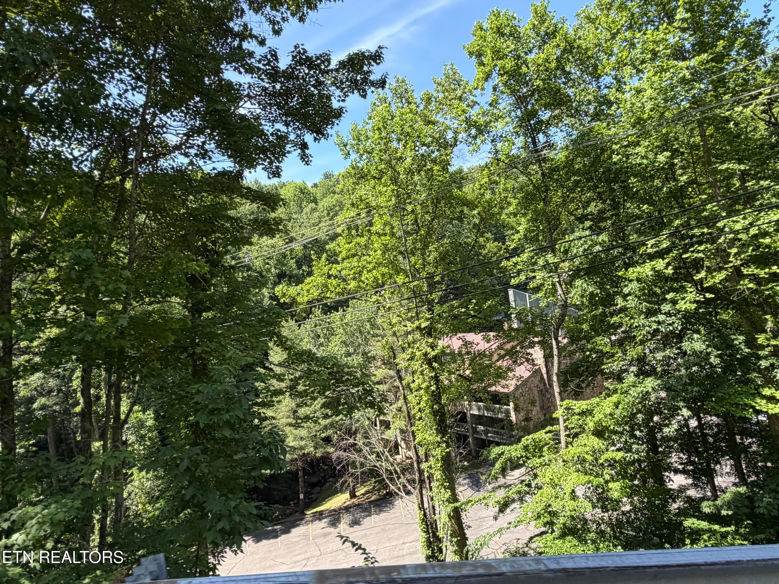 IMG_3944 - 1435 Wiley Oakley Drive UNIT 172, Gatlinburg, TN 37738, Gatlinburg