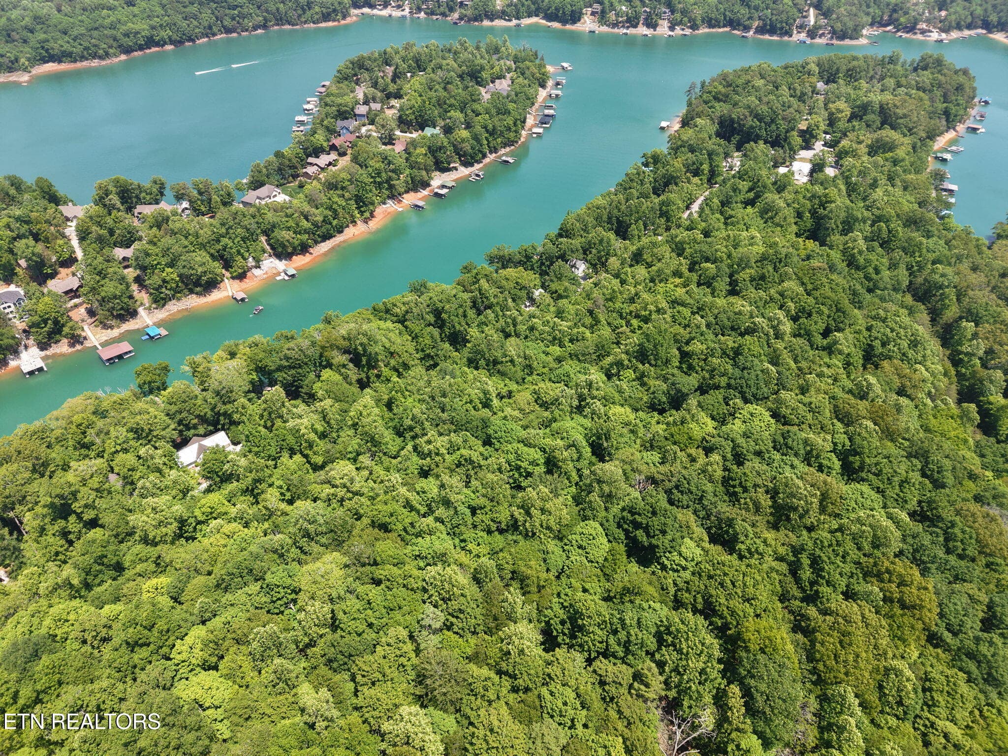 Yoakum Hollow Rd, Jacksboro, TN 37757