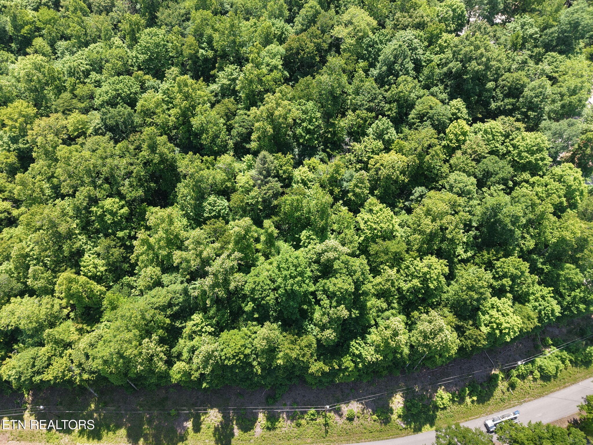 4-web-or-mls-DJI_20260518131228_0006_D - Yoakum Hollow Rd, Jacksboro, TN 37757