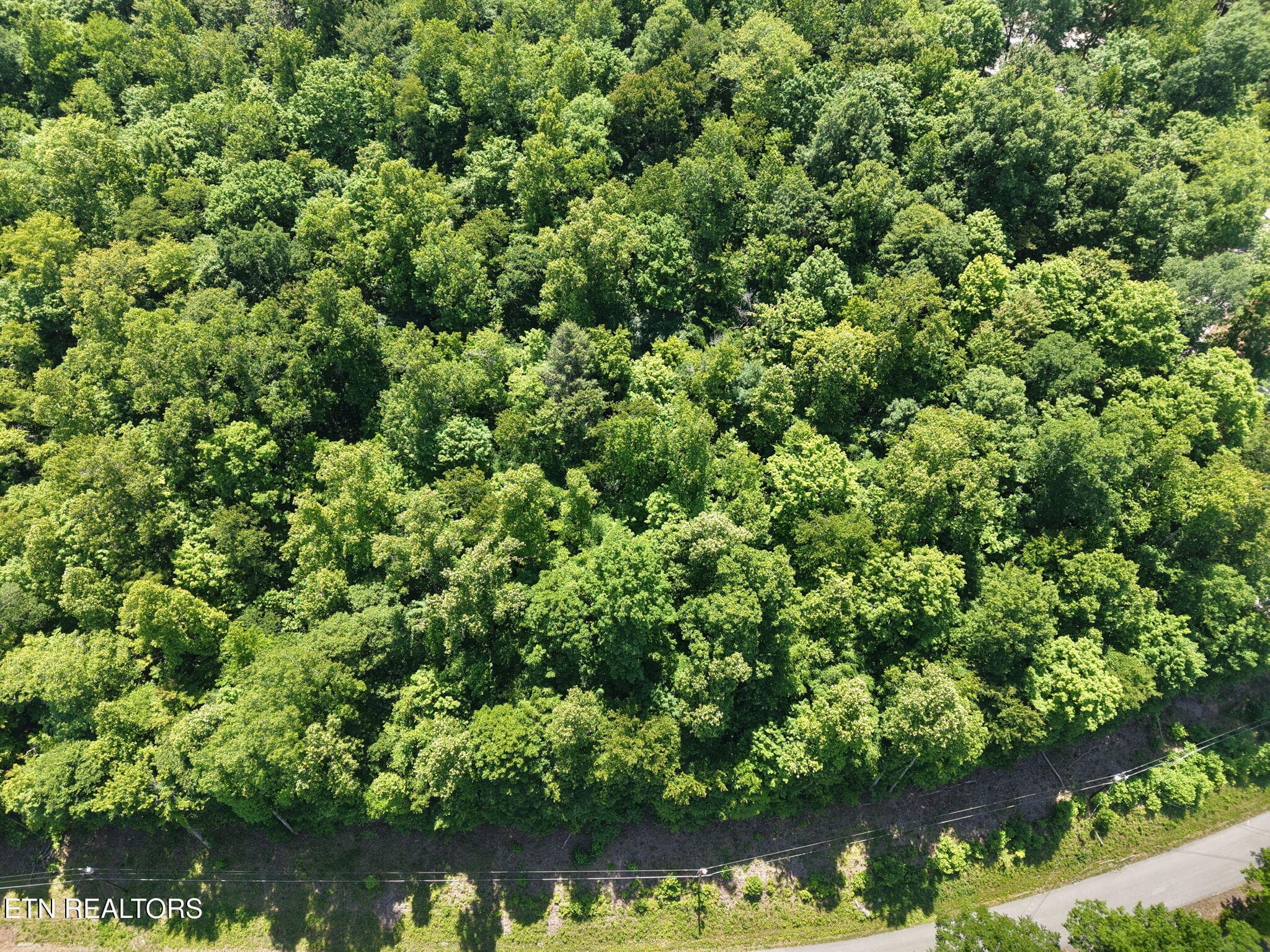 5-web-or-mls-DJI_20260518131322_0009_D - Yoakum Hollow Rd, Jacksboro, TN 37757