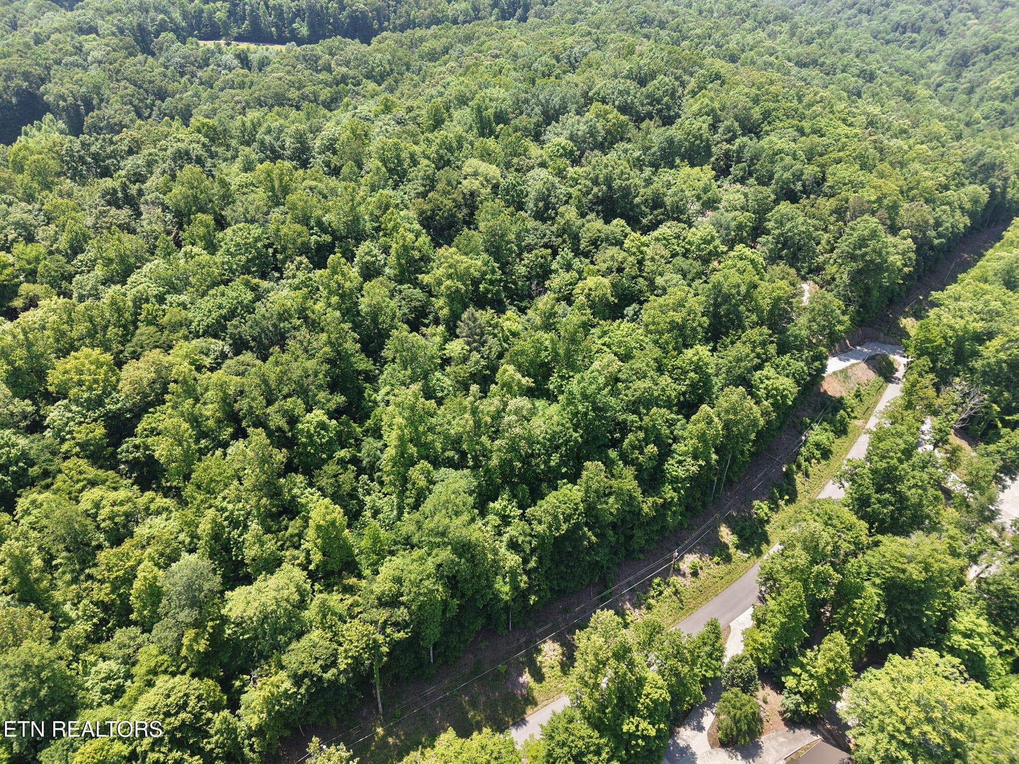 6-web-or-mls-DJI_20260518131346_0012_D - Yoakum Hollow Rd, Jacksboro, TN 37757
