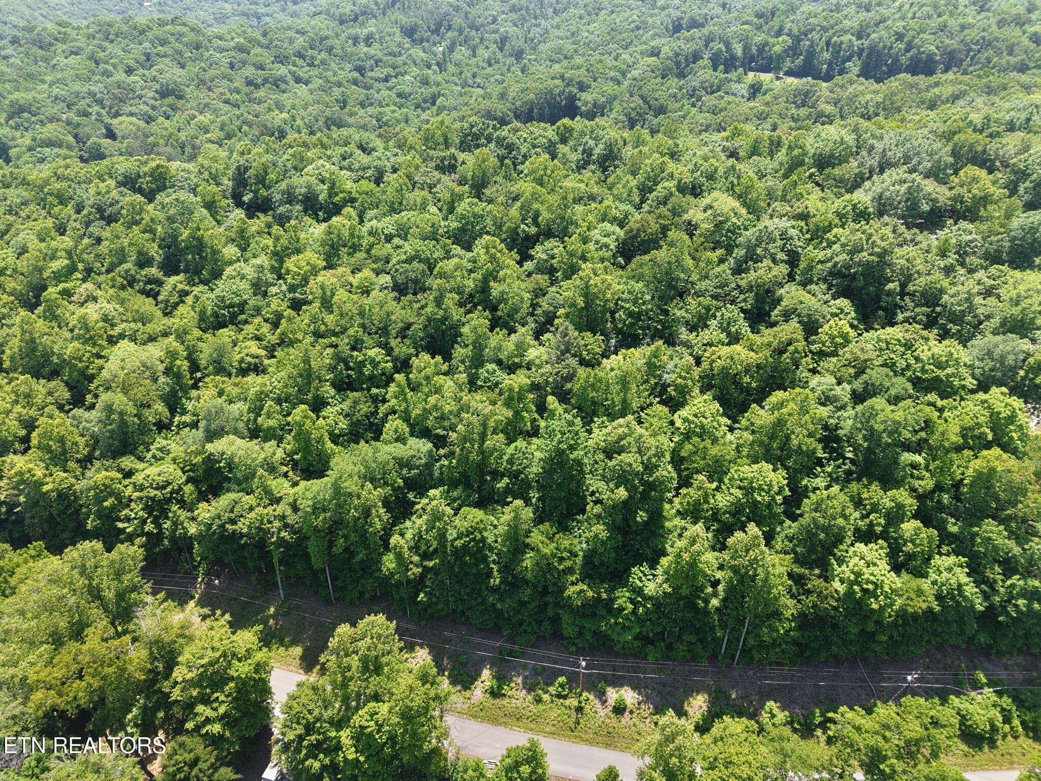 8-web-or-mls-DJI_20260518131411_0018_D - Yoakum Hollow Rd, Jacksboro, TN 37757