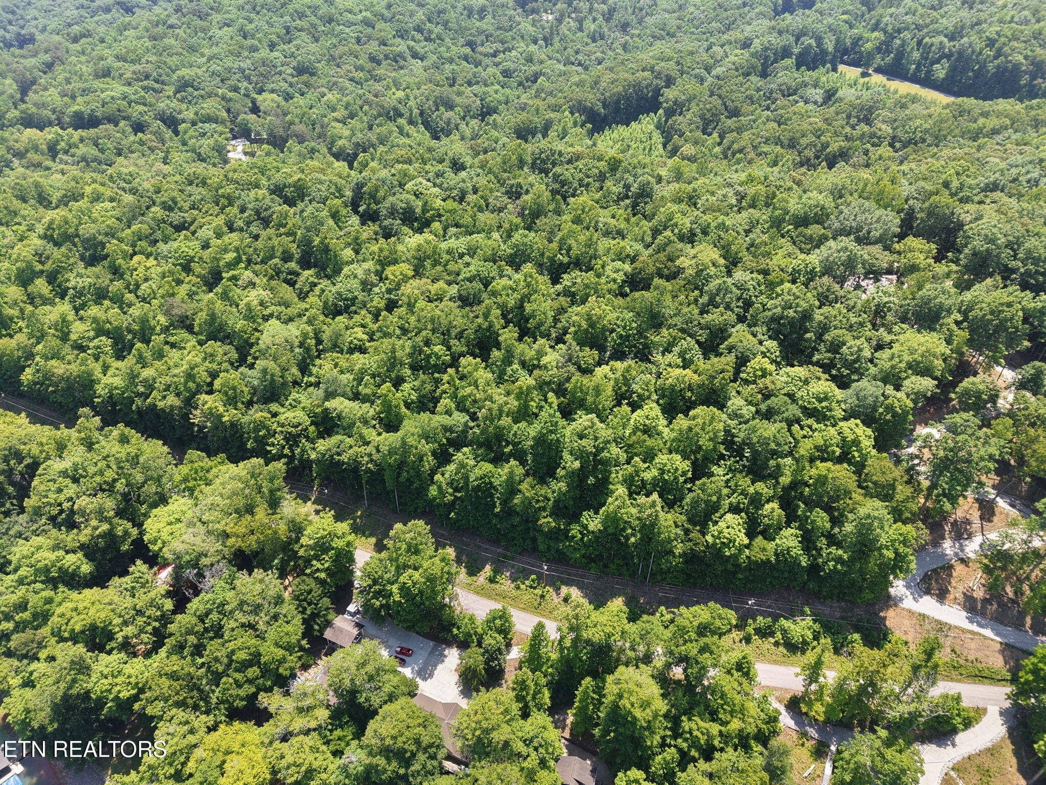 10-web-or-mls-DJI_20260518131448_0024_D - Yoakum Hollow Rd, Jacksboro, TN 37757