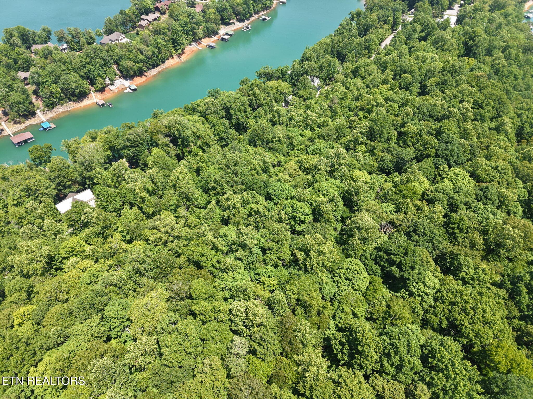 11-web-or-mls-DJI_20260518131519_0027_D - Yoakum Hollow Rd, Jacksboro, TN 37757