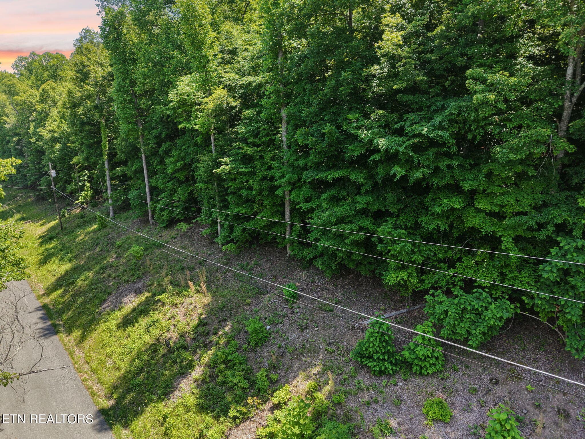 2-_D copy - Yoakum Hollow Rd, Jacksboro, TN 37757