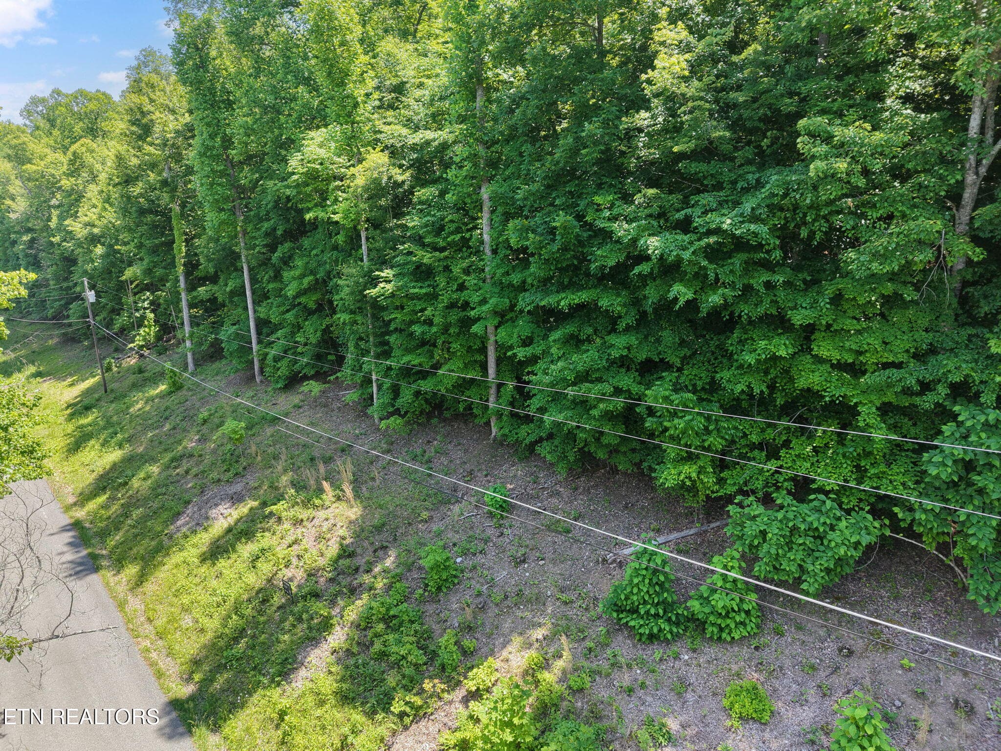 3-web-or-mls-DJI_20260518131130_0003_D - Yoakum Hollow Rd, Jacksboro, TN 37757
