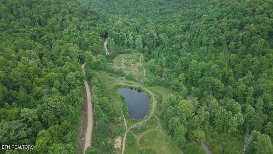 att.iIX7X9DVvpH71PhRJUNf3j73WOj7HtWLg5-q - 216 Lower Capuchin Rd, Winfield, TN 37892