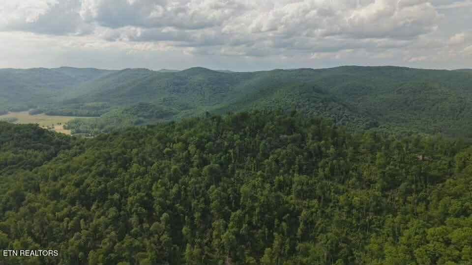 att.ijo7QdqRN81W1Az6RR_vmUfTYRMFCddgvvuk - 216 Lower Capuchin Rd, Winfield, TN 37892