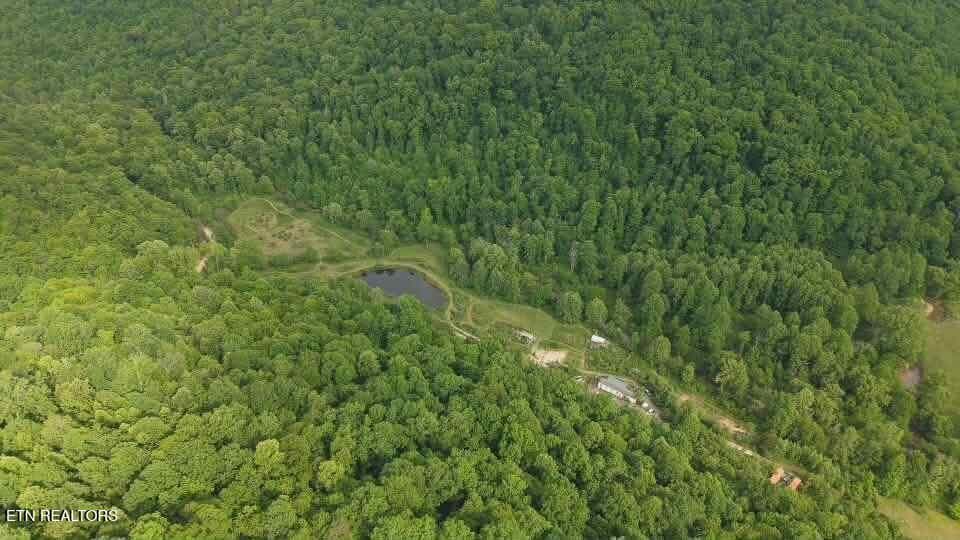 att.yLw14vou-yKCRxUdQ3heUoCJEZXK9nXVdICV - 216 Lower Capuchin Rd, Winfield, TN 37892