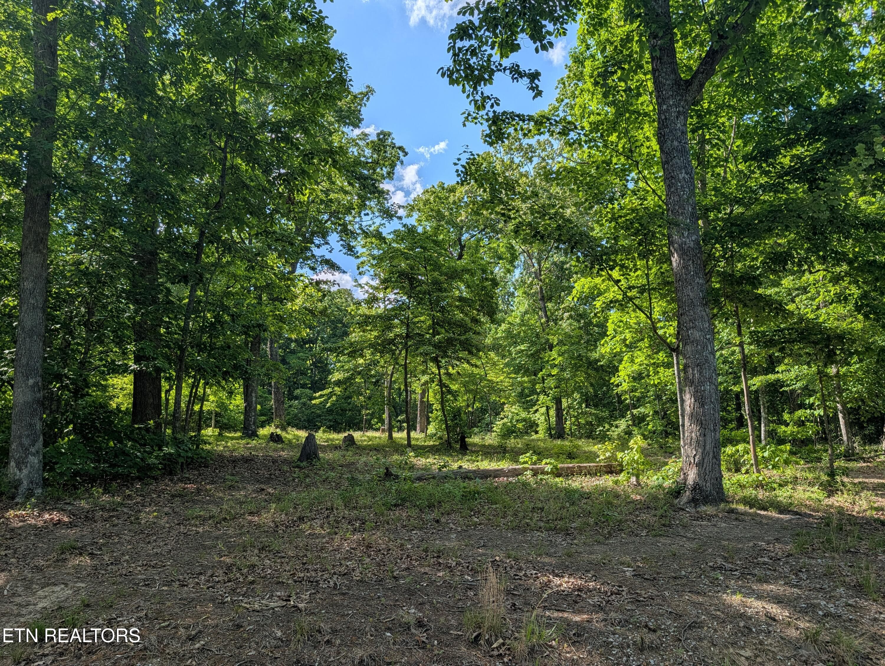 Lot 94/95 Red Oak Lane, Spring City, TN 37381