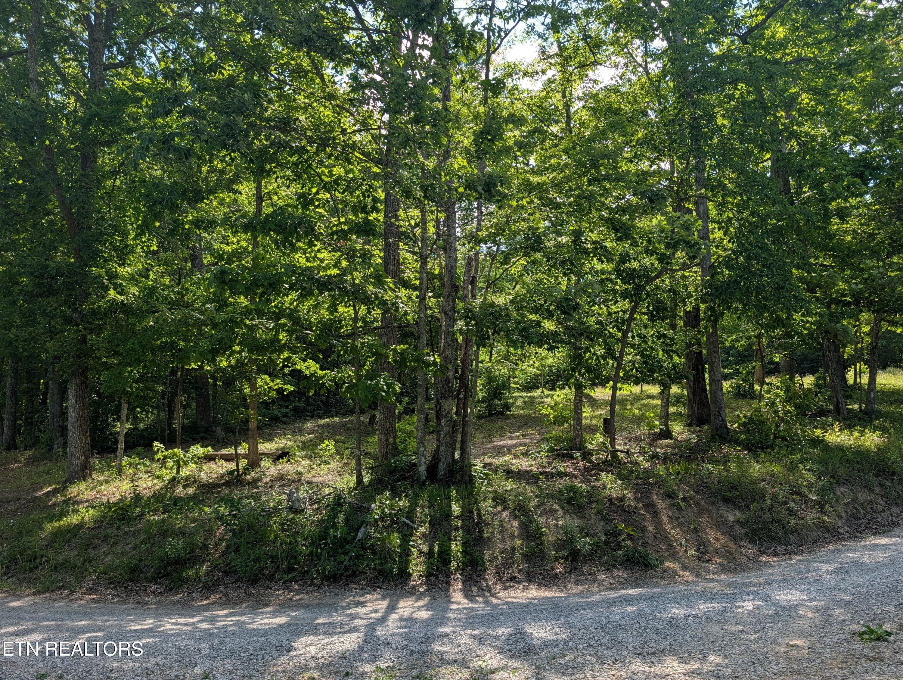 PXL_20260518_204608152 - Lot 94/95 Red Oak Lane, Spring City, TN 37381