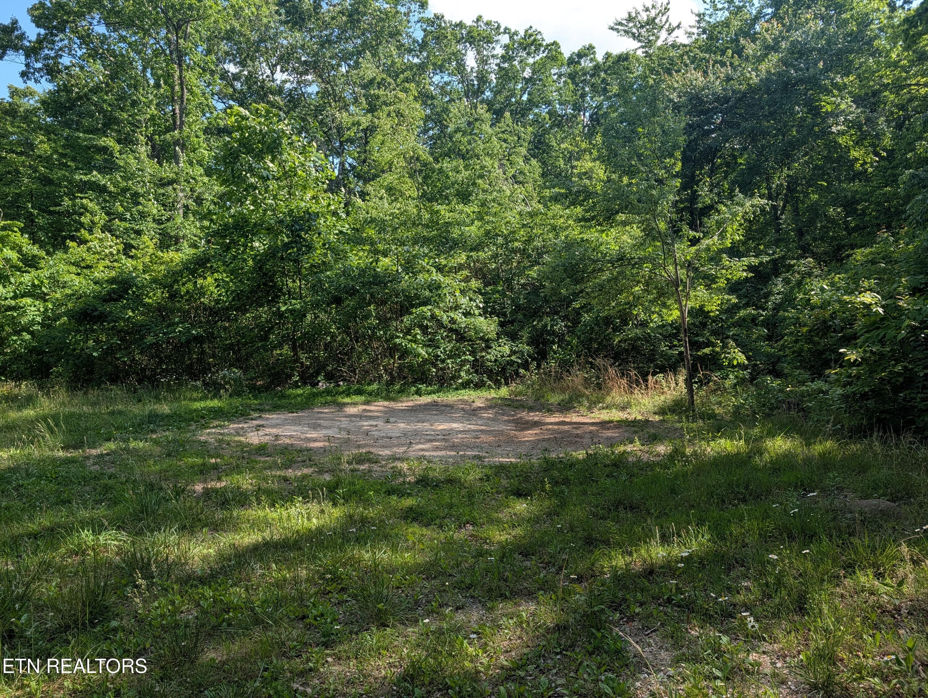 PXL_20260518_203933706 - Lot 94/95 Red Oak Lane, Spring City, TN 37381