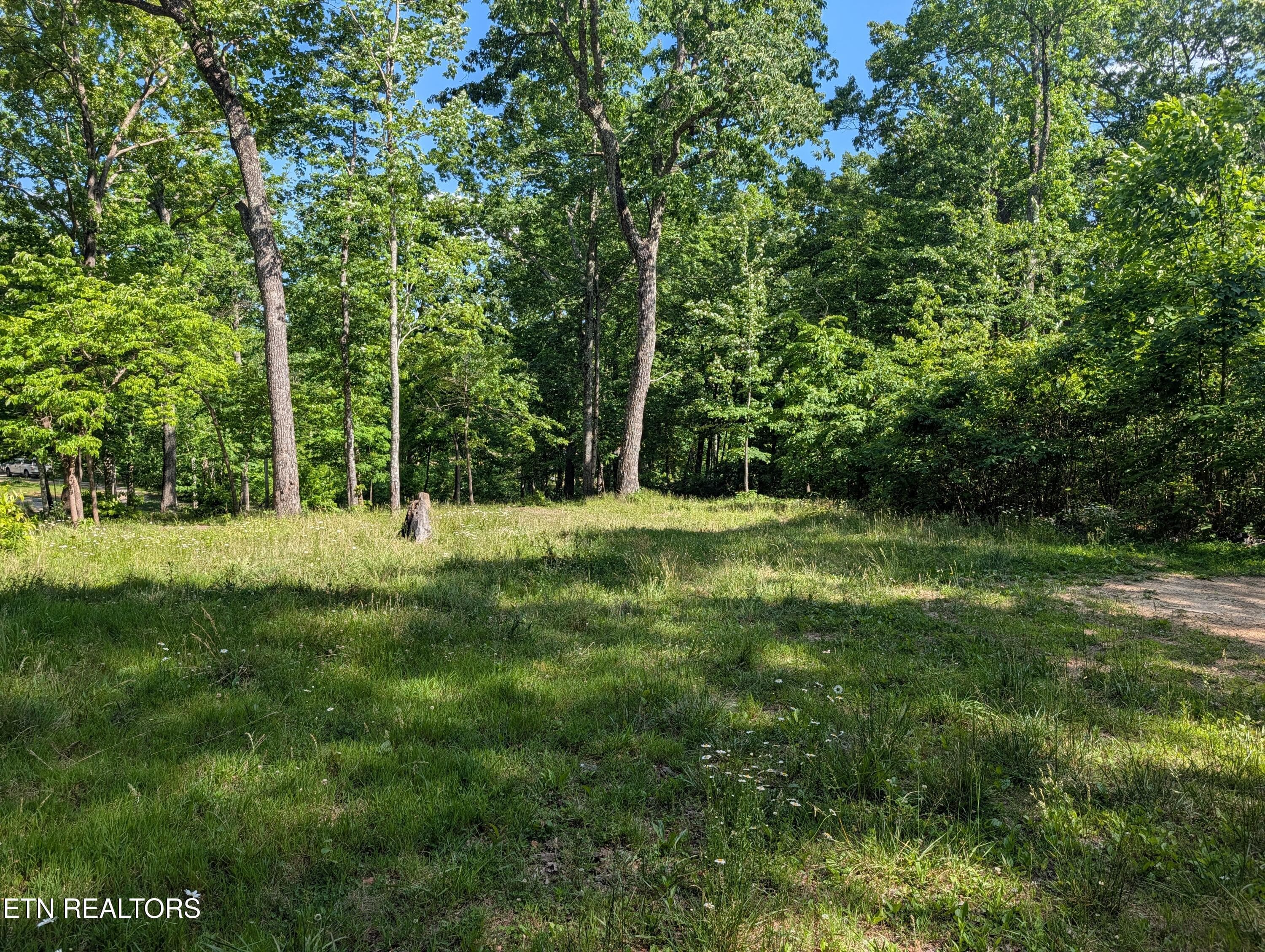 PXL_20260518_203931860 - Lot 94/95 Red Oak Lane, Spring City, TN 37381