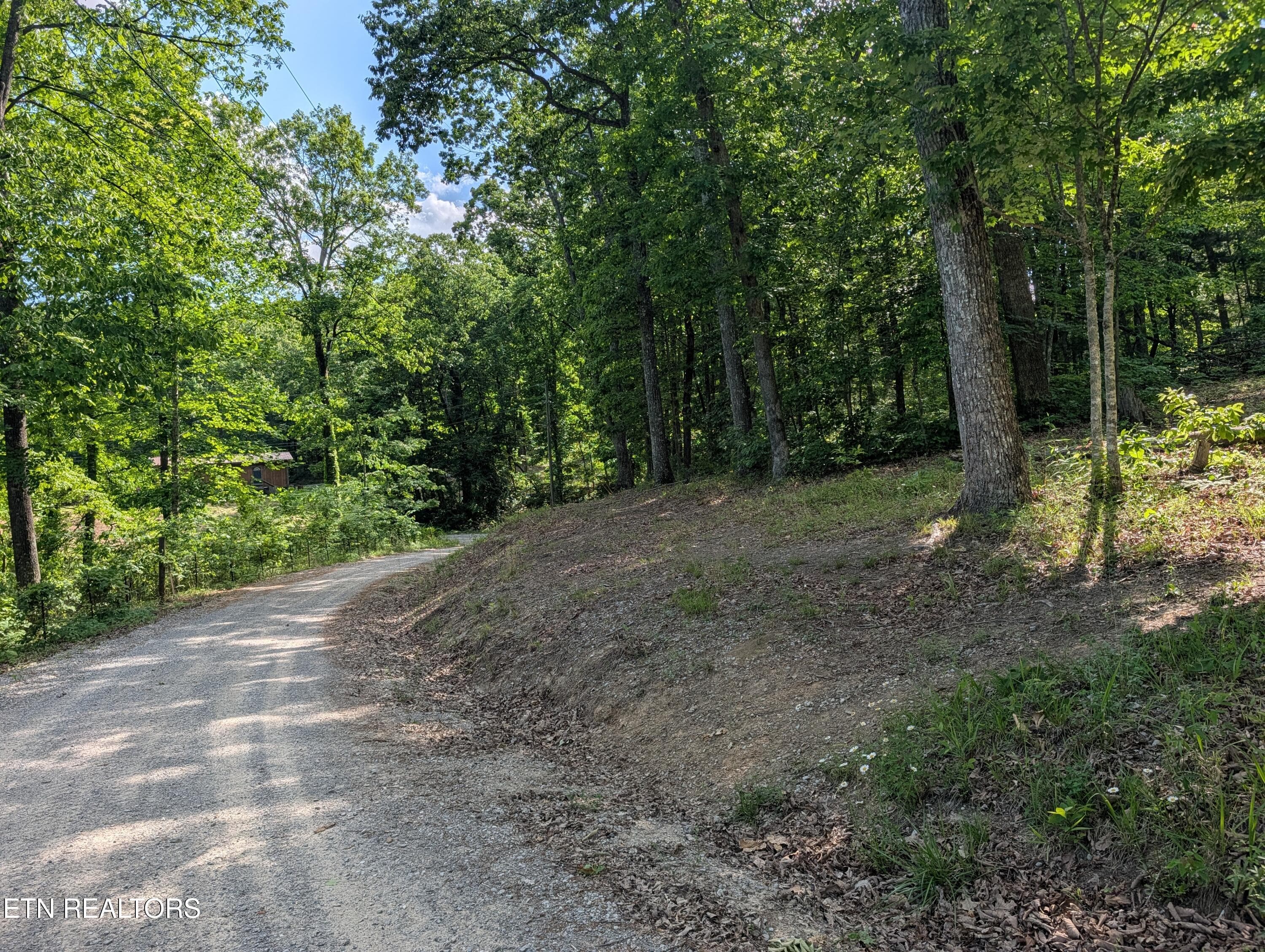 PXL_20260518_204624757 - Lot 94/95 Red Oak Lane, Spring City, TN 37381
