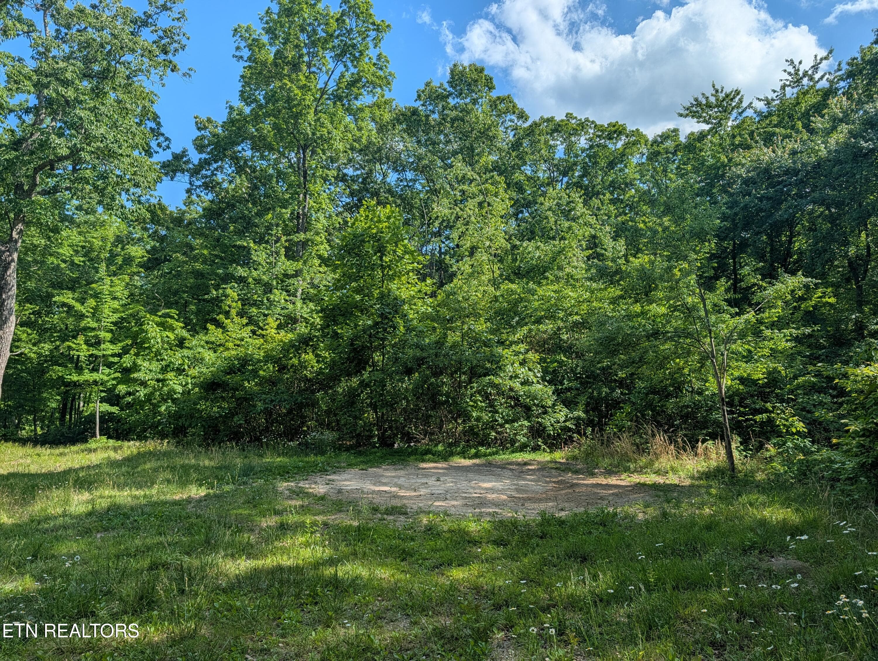 PXL_20260518_204005870 - Lot 94/95 Red Oak Lane, Spring City, TN 37381