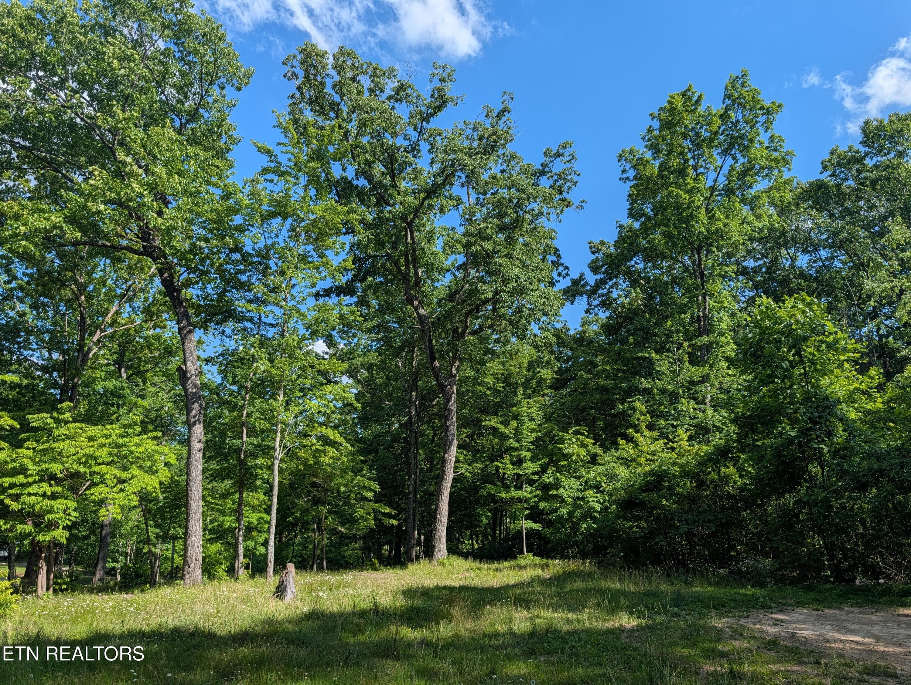 PXL_20260518_204009289 - Lot 94/95 Red Oak Lane, Spring City, TN 37381