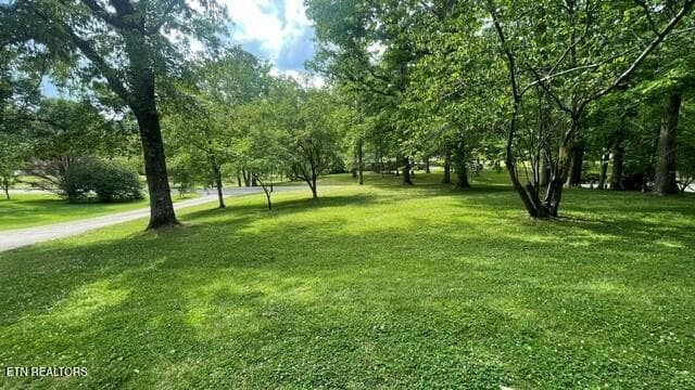 Front Yard - 572 S Lake Drive, Oneida, TN 37841