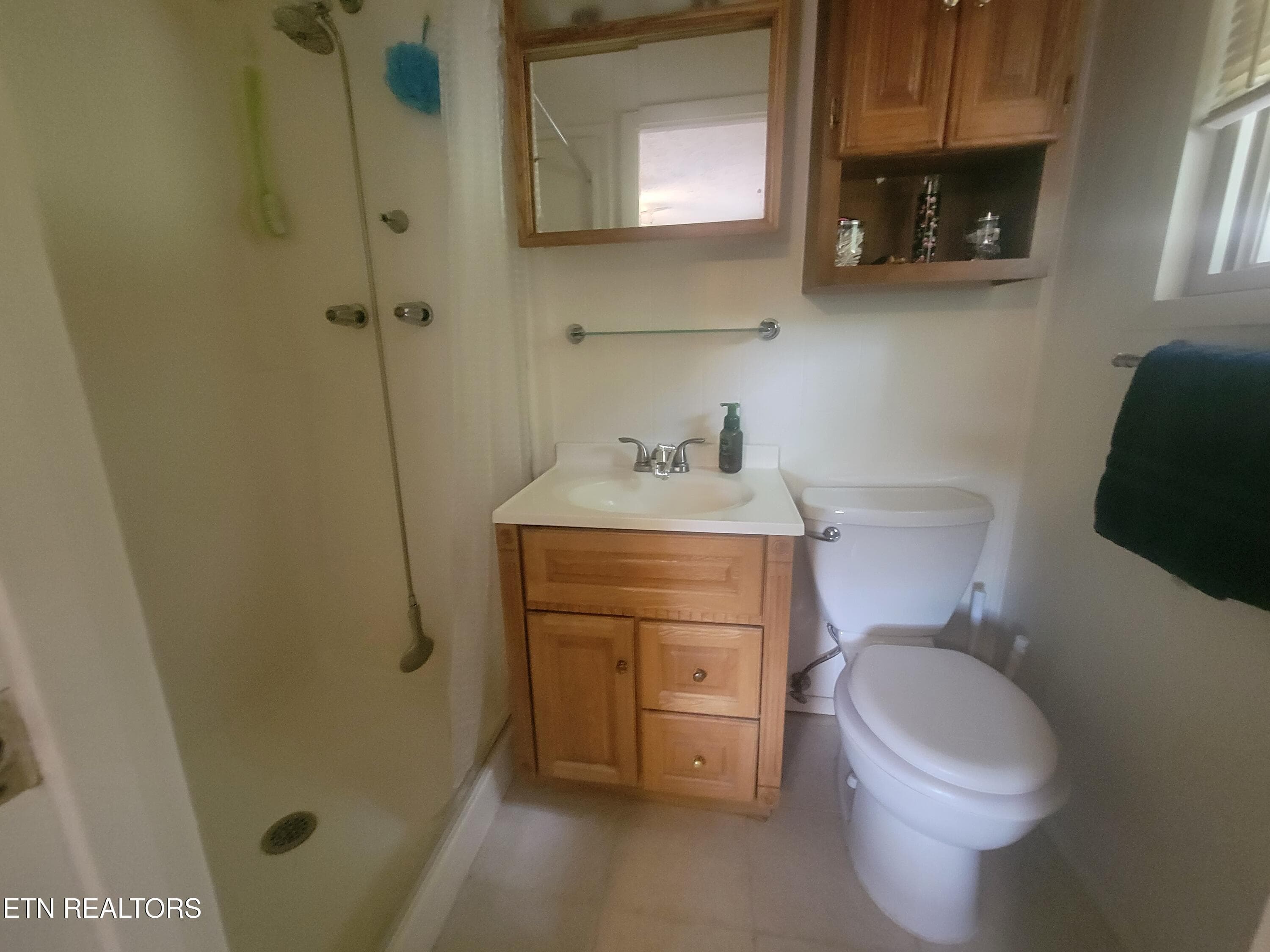 Mater Bedroom bath - 572 S Lake Drive, Oneida, TN 37841