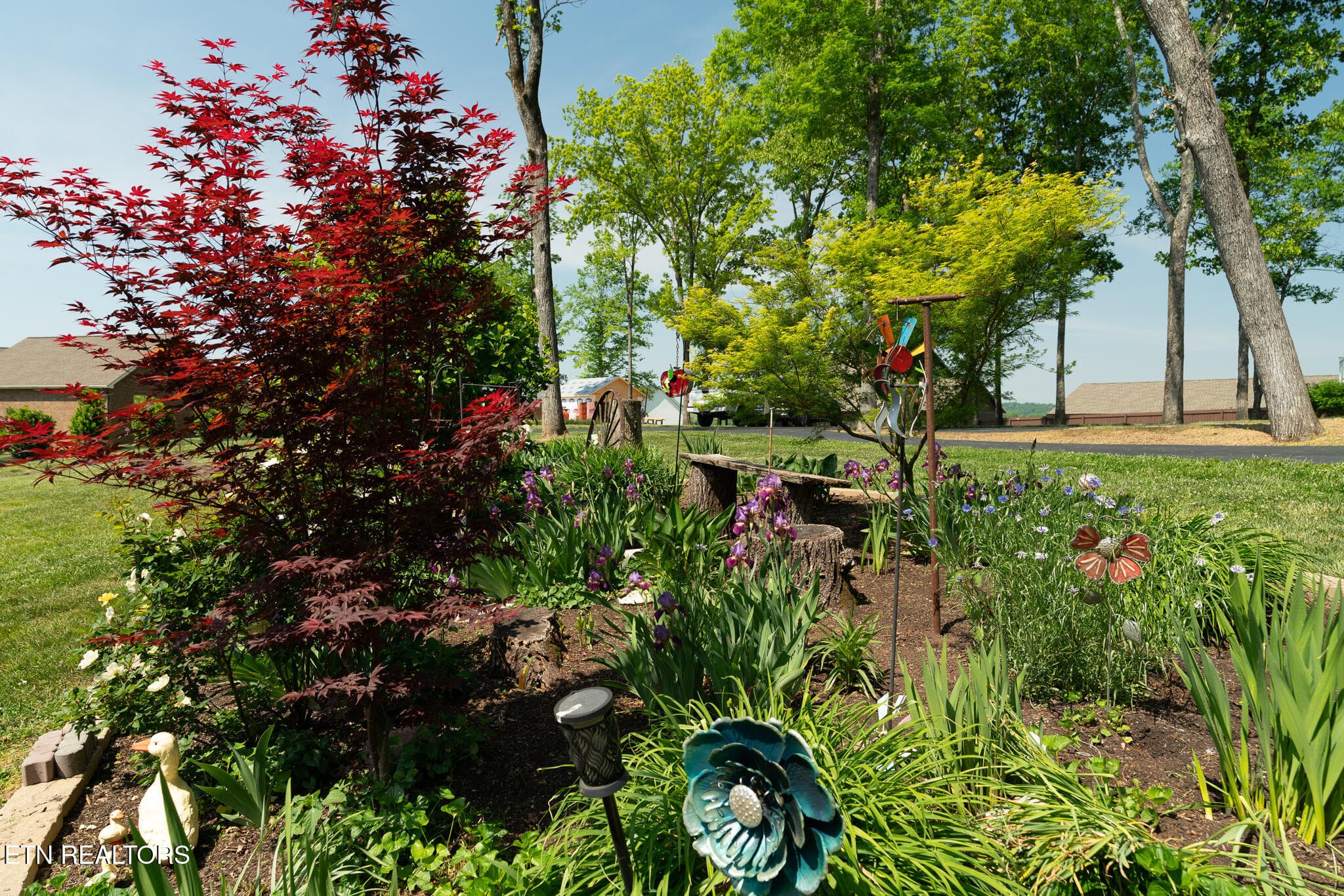 untitled-56 - Copy - 1330 Jim Fain Rd, Sevierville, TN 37876