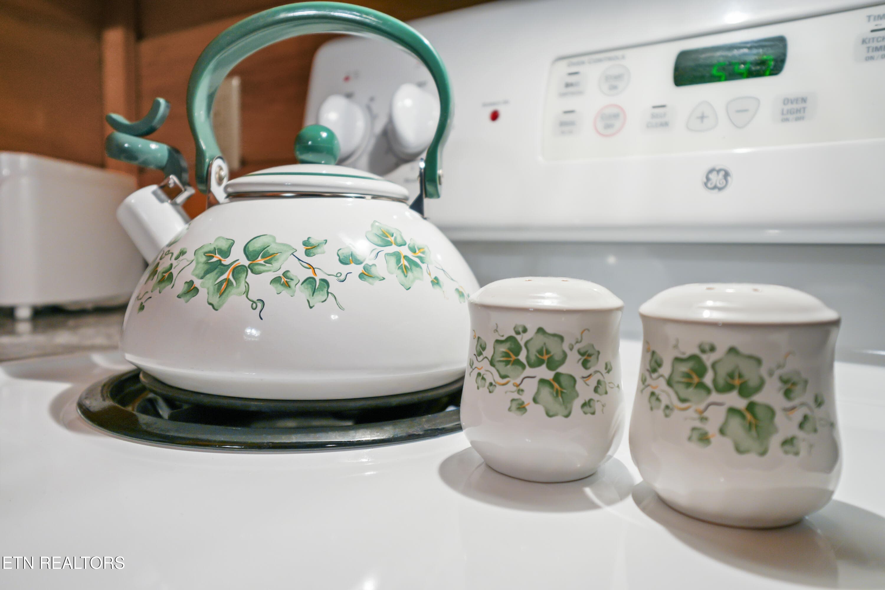 Tea for 2? - 1316 Wedge Tailed Lane, Sevierville, TN 37876