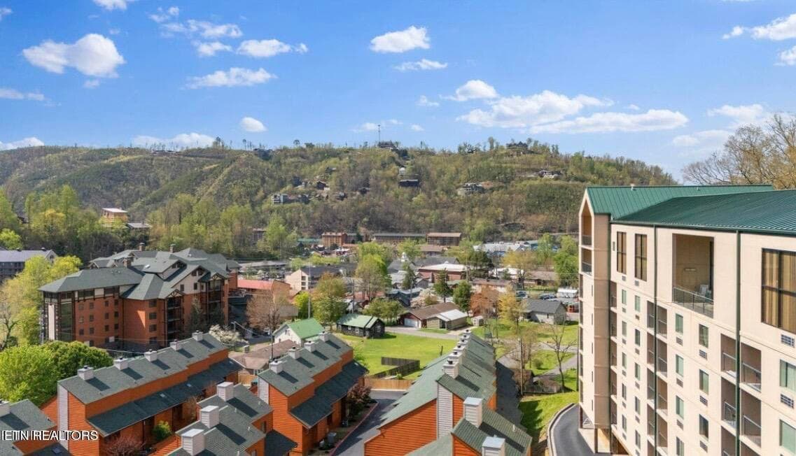 Drone shot - 413 Baskins Creek Rd 501, Gatlinburg, TN 37738, Gatlinburg