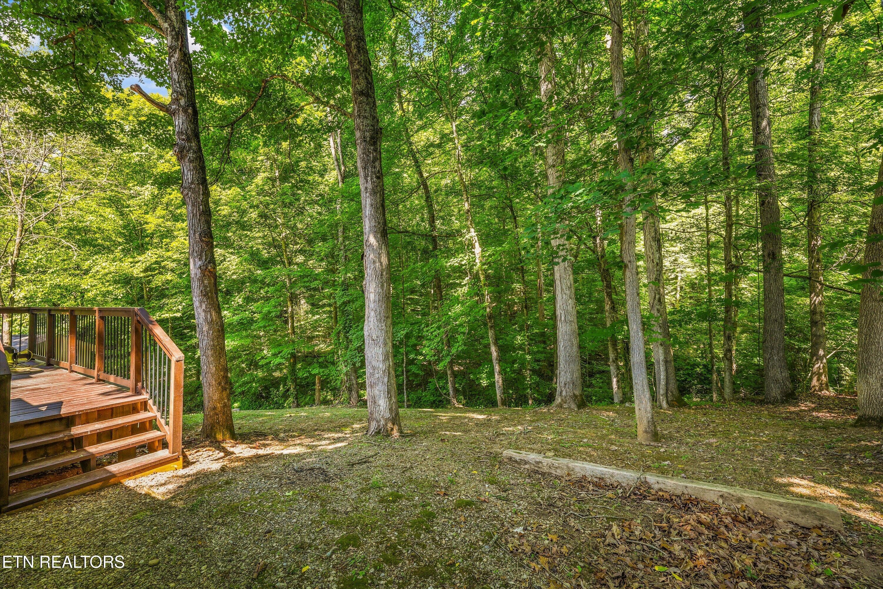 28-165 Lenz Dr 25 - 165 Lenz Drive, Kodak, TN 37764